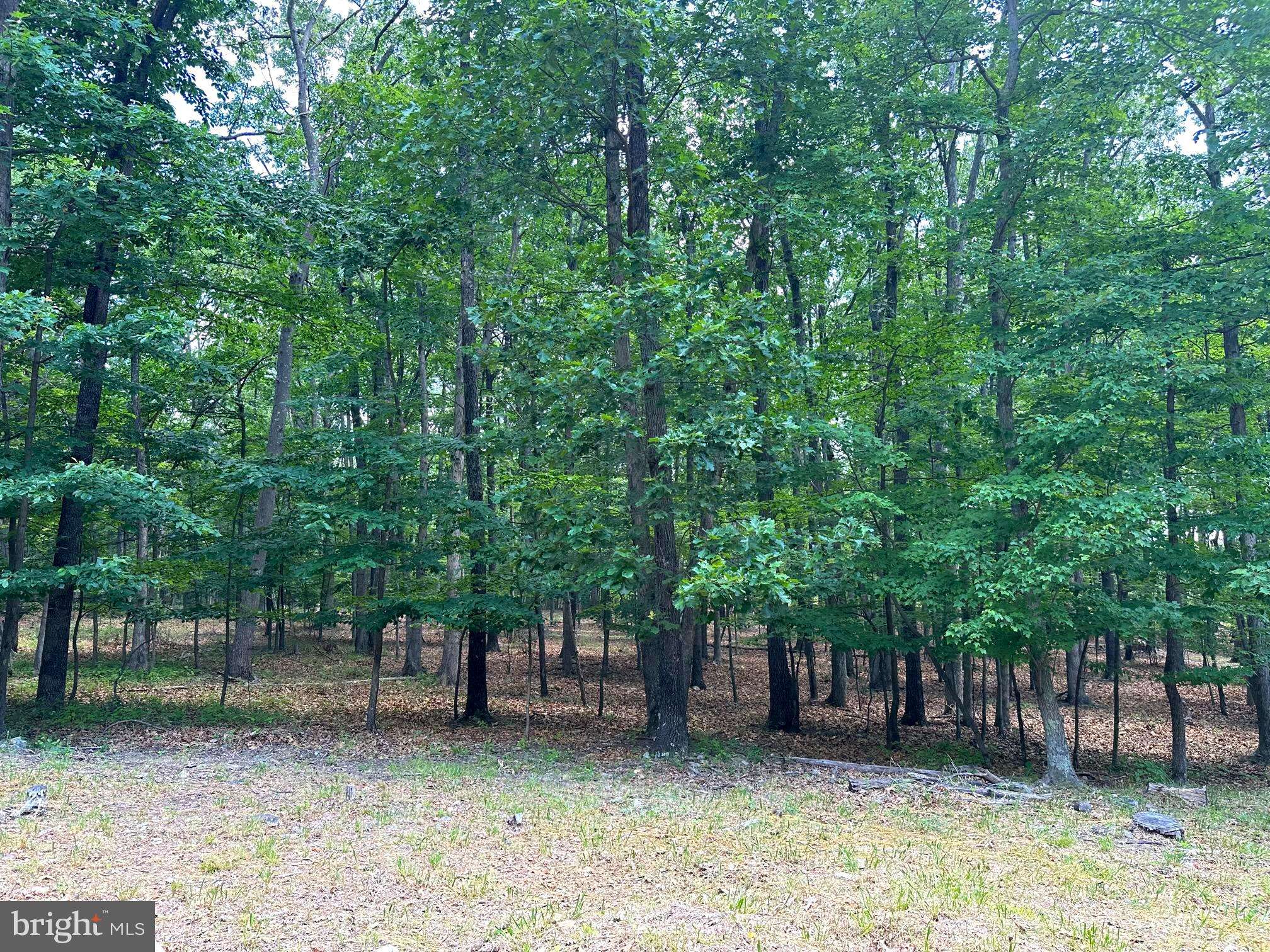 Augusta, WV 26704,LOT 21, LOTS 30-34 MCCOY DR