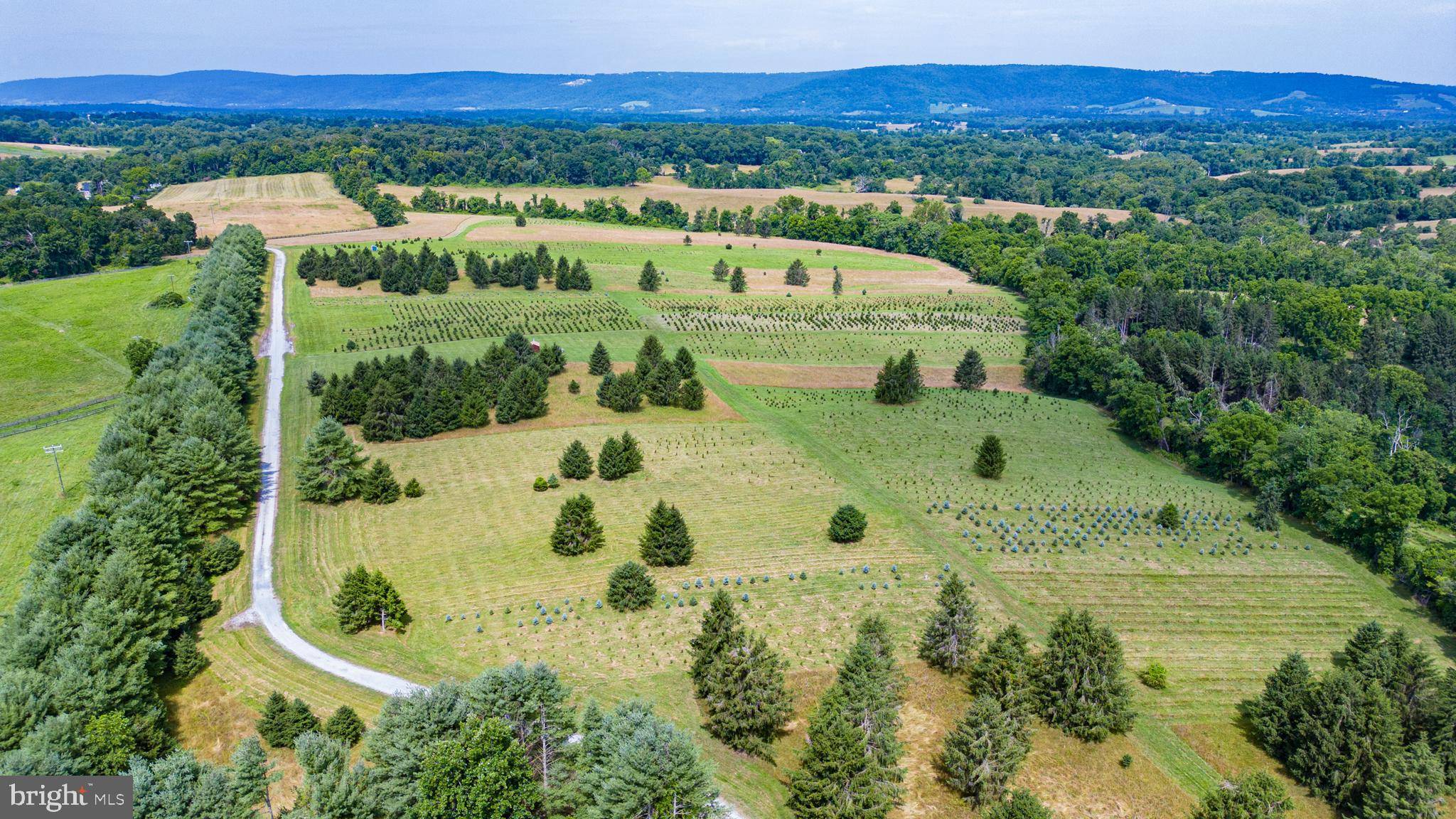 Round Hill, VA 20141,CHRISTMAS TREE LANE