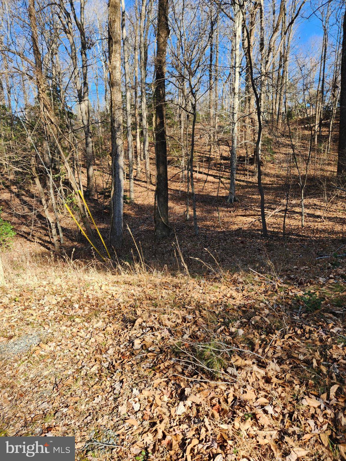 Montross, VA 22520,LOT 72 PLANTATION