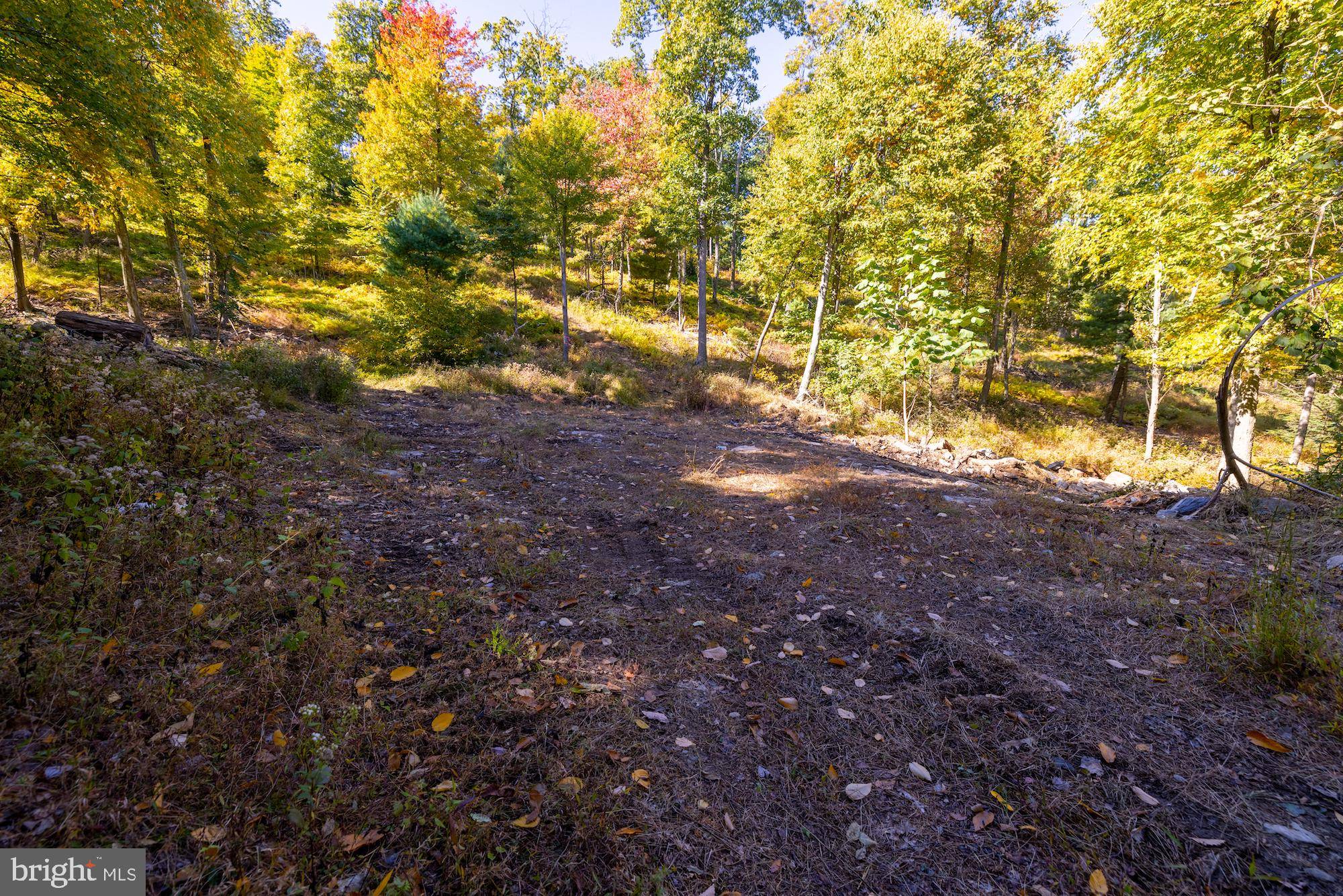 Orrtanna, PA 17353,LOT 1 NEWMAN RD