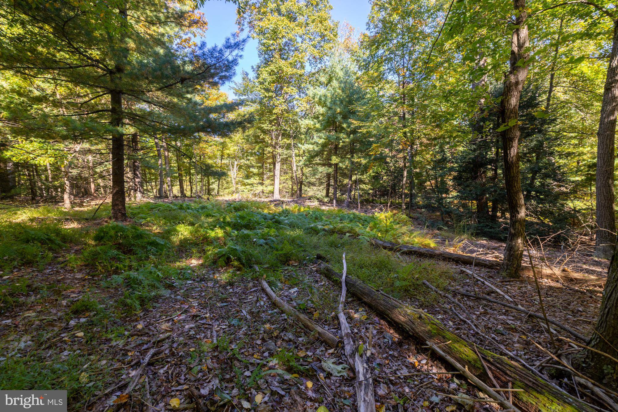 Orrtanna, PA 17353,LOT 1 NEWMAN RD