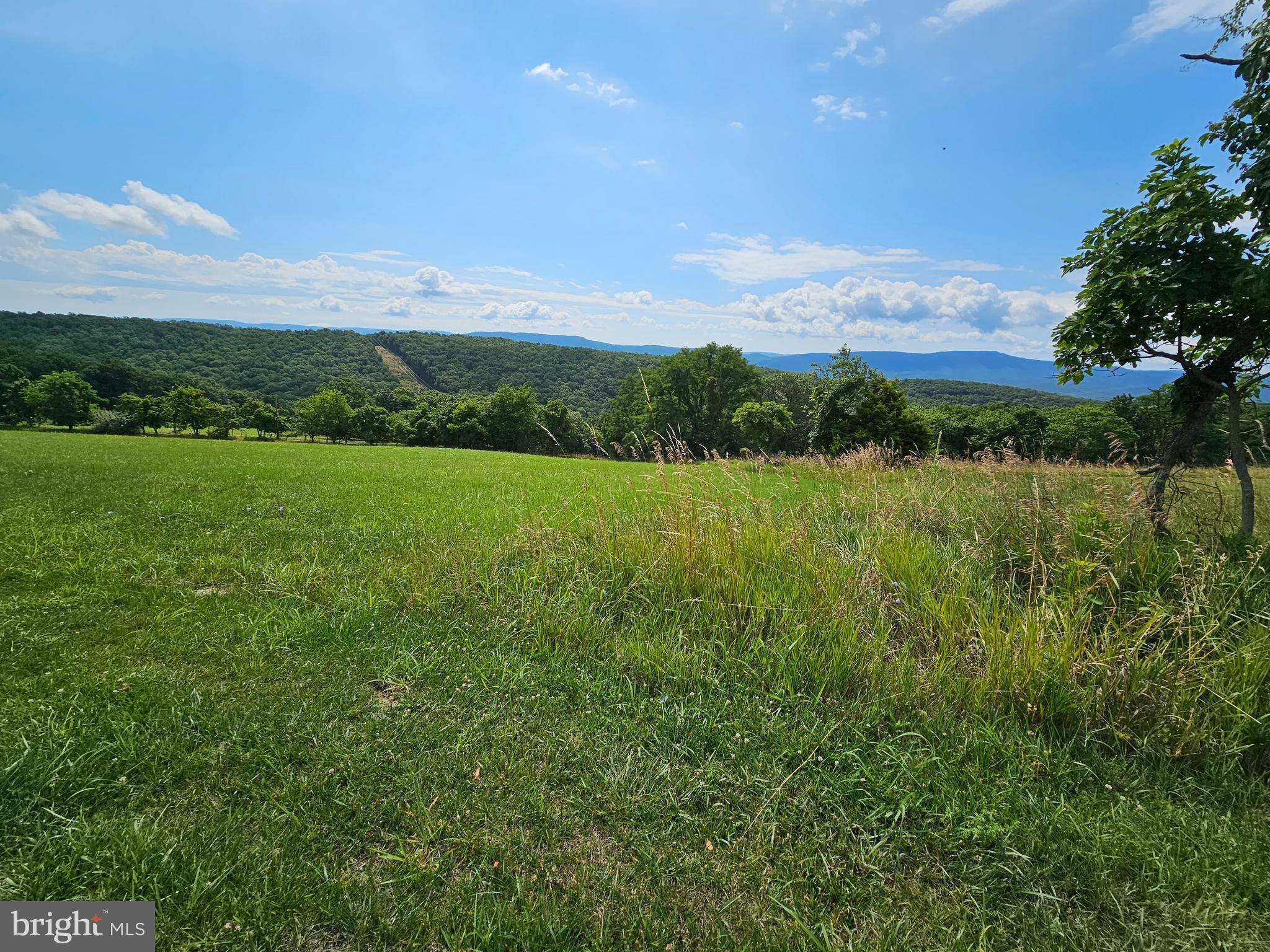 Petersburg, WV 26847,LOT 25 BRYNNER DR