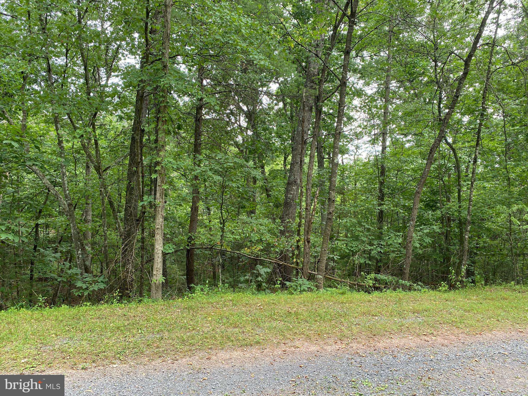 Mount Jackson, VA 22842,LOT 400 BASS WOOD LANE