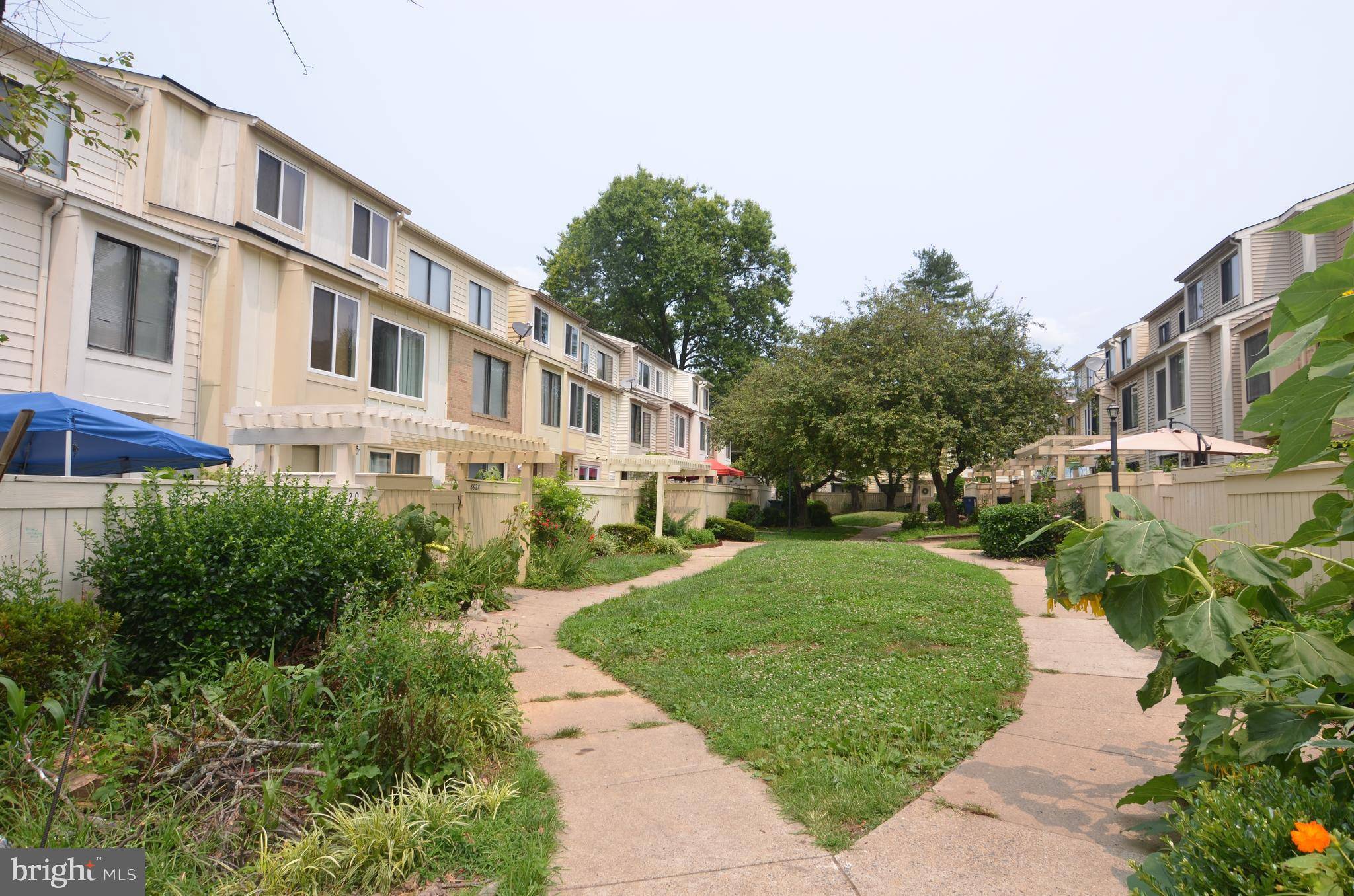 Montgomery Village, MD 20886,8823 WELBECK