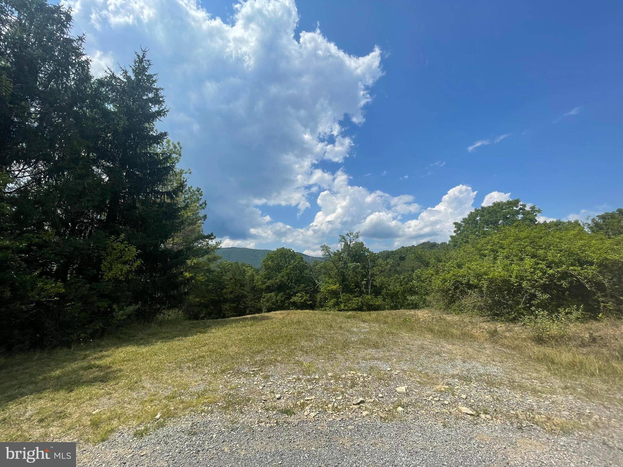 Rileyville, VA 22650,LOT B10 SPUR DR