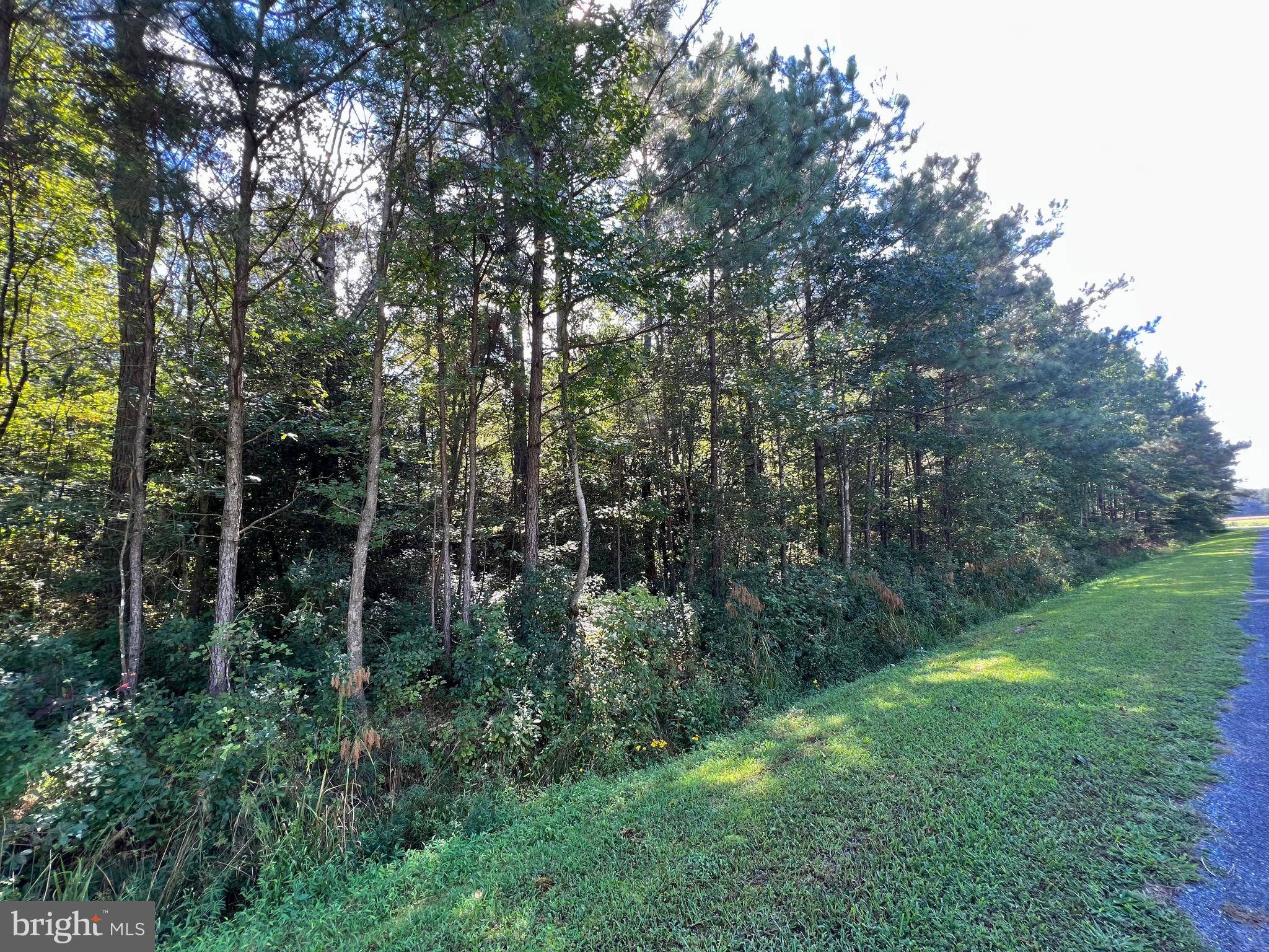 Princess Anne, MD 21853,LOT 3 WILDWOOD DR