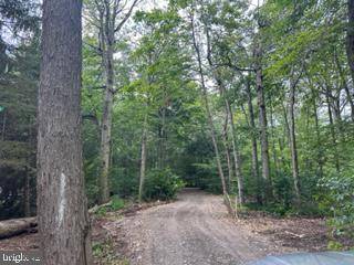 Mount Storm, WV 26739,LOT 3 SPRUCE RIDGE