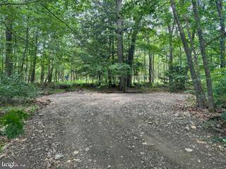 Mount Storm, WV 26739,LOT 3 SPRUCE RIDGE