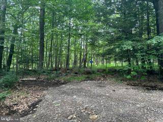 Mount Storm, WV 26739,LOT 3 SPRUCE RIDGE