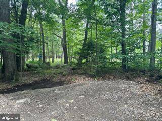 Mount Storm, WV 26739,LOT 3 SPRUCE RIDGE