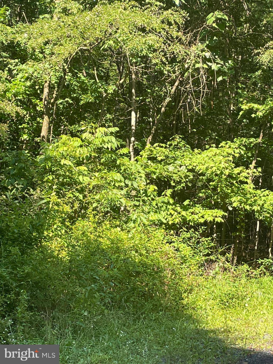 Shirleysburg, PA 17260,LOT #6 CLAYSPUR ROAD