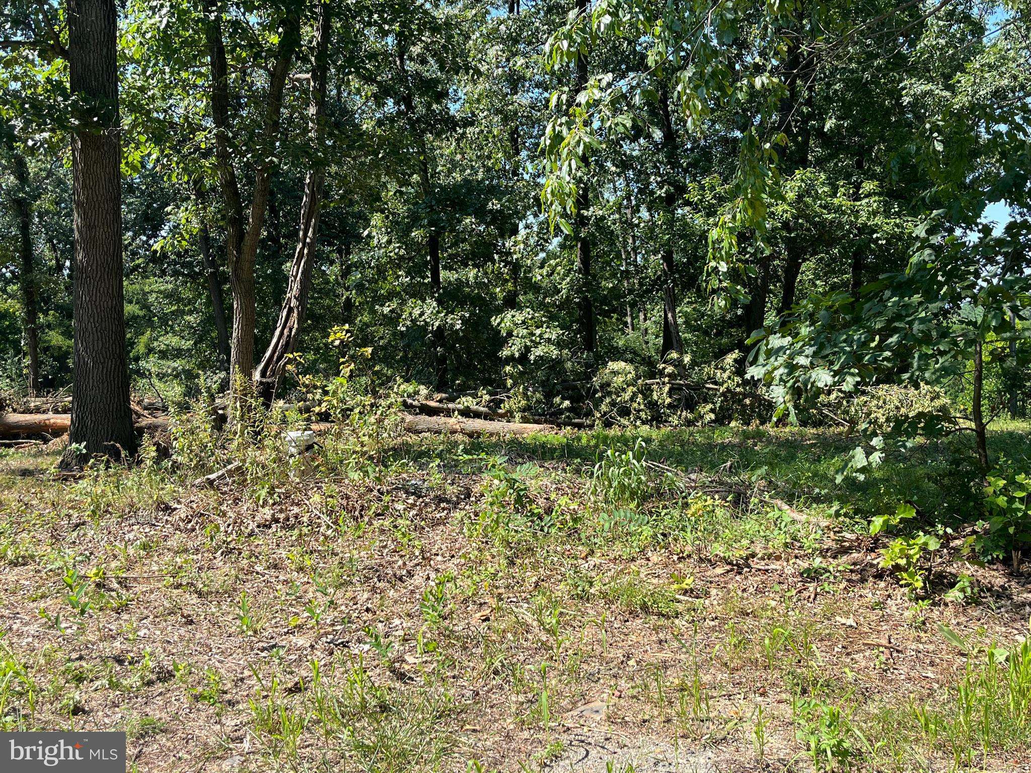 Delta, PA 17314,LOT 1 MADELYN DR