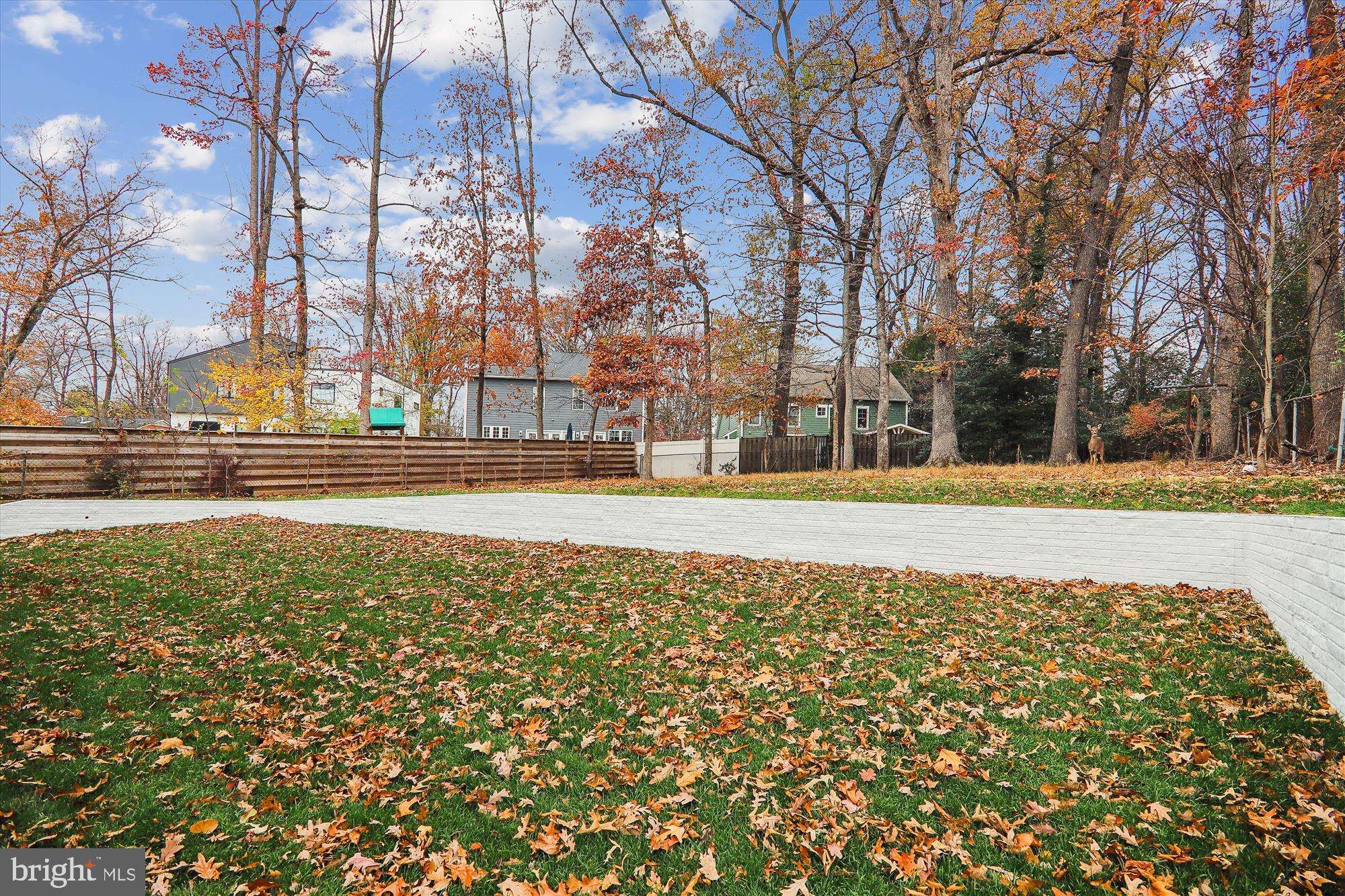 Vienna, VA 22180,1010 COTTAGE ST SW