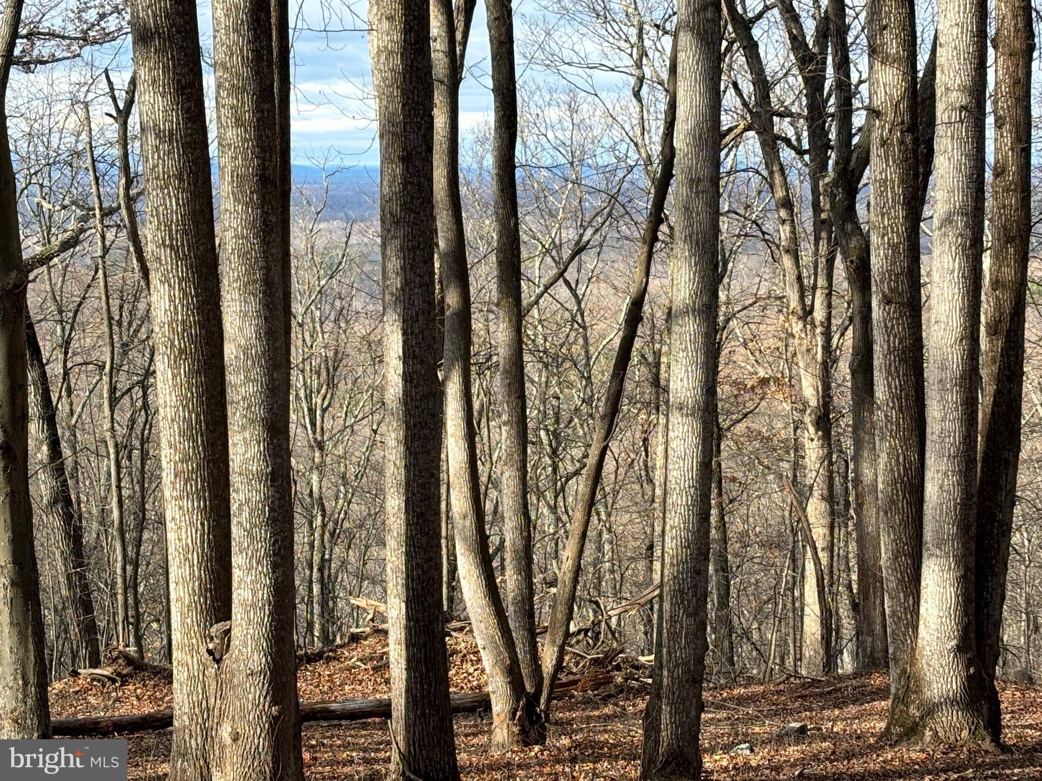 Paris, VA 20130,132 MT CARMEL RD