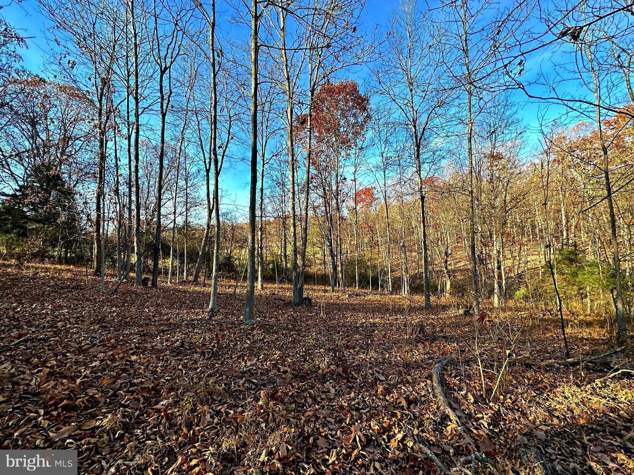 Maysville, WV 26833,LOT 69 BRIARWOOD DR