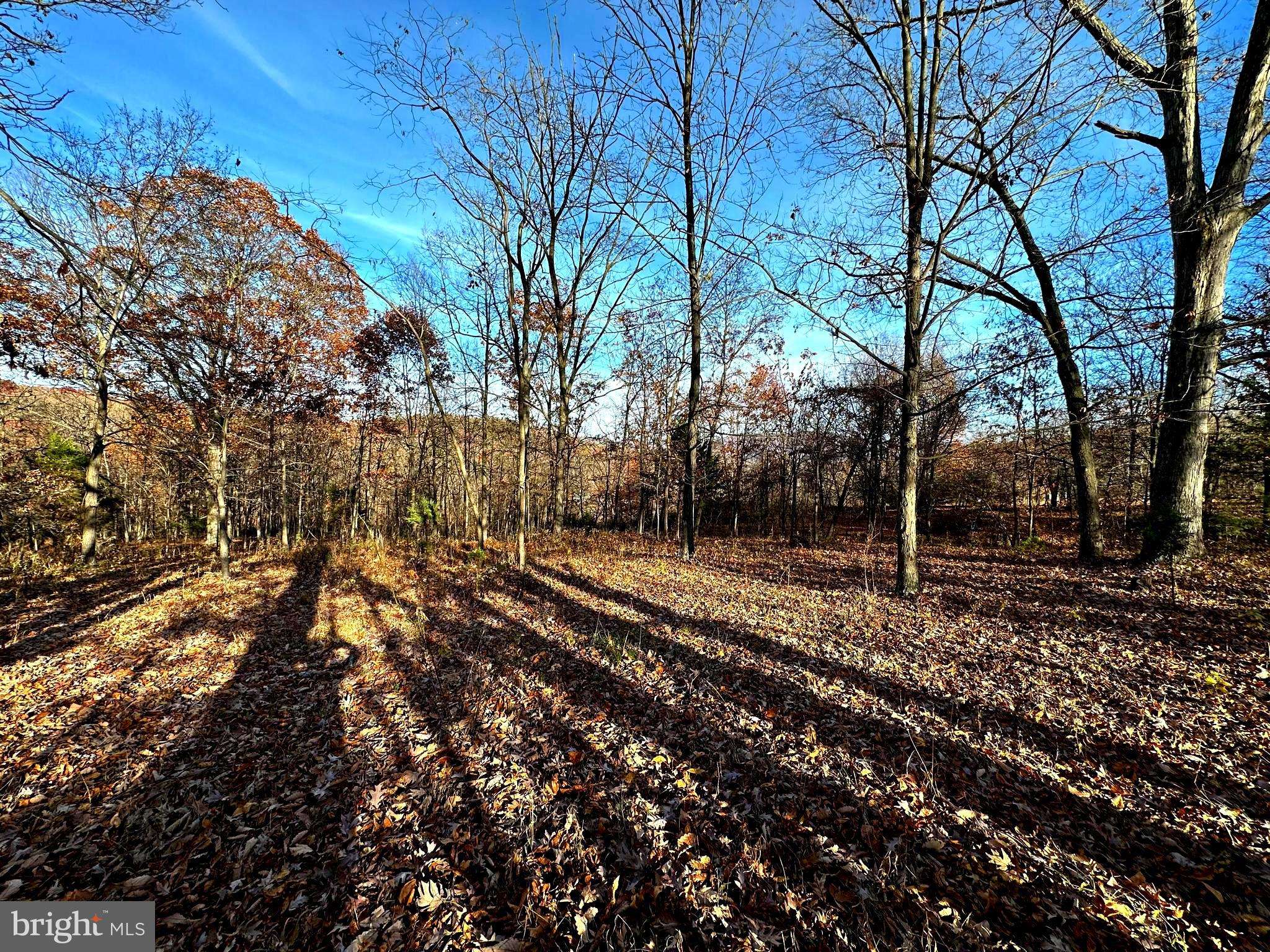 Maysville, WV 26833,LOT 69 BRIARWOOD DR