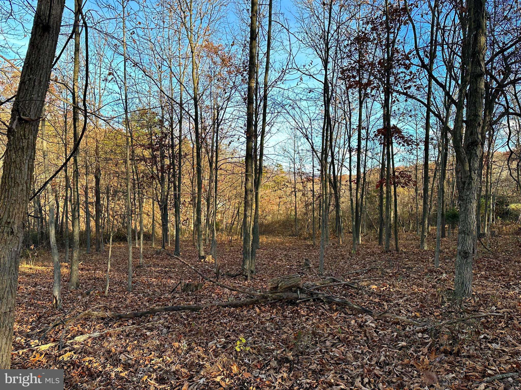 Maysville, WV 26833,LOT 69 BRIARWOOD DR