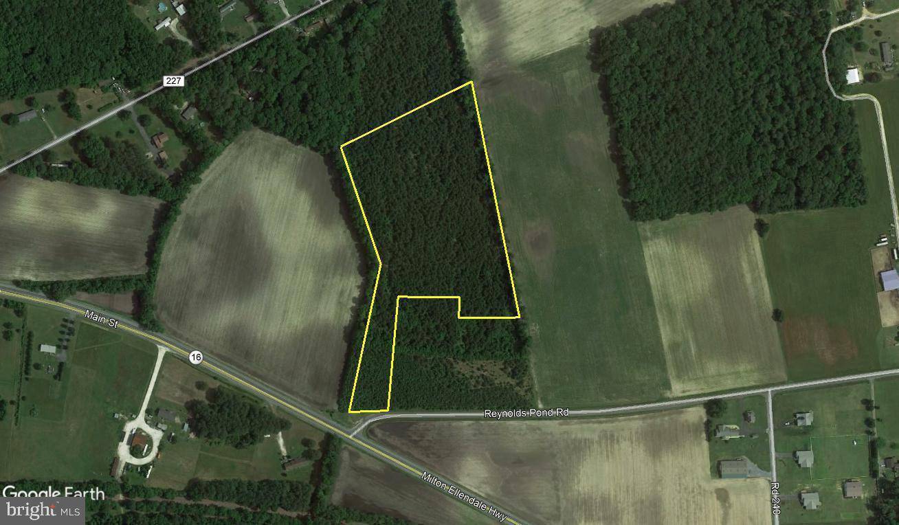 Ellendale, DE 19941,10.0 ACRES REYNOLDS POND RD