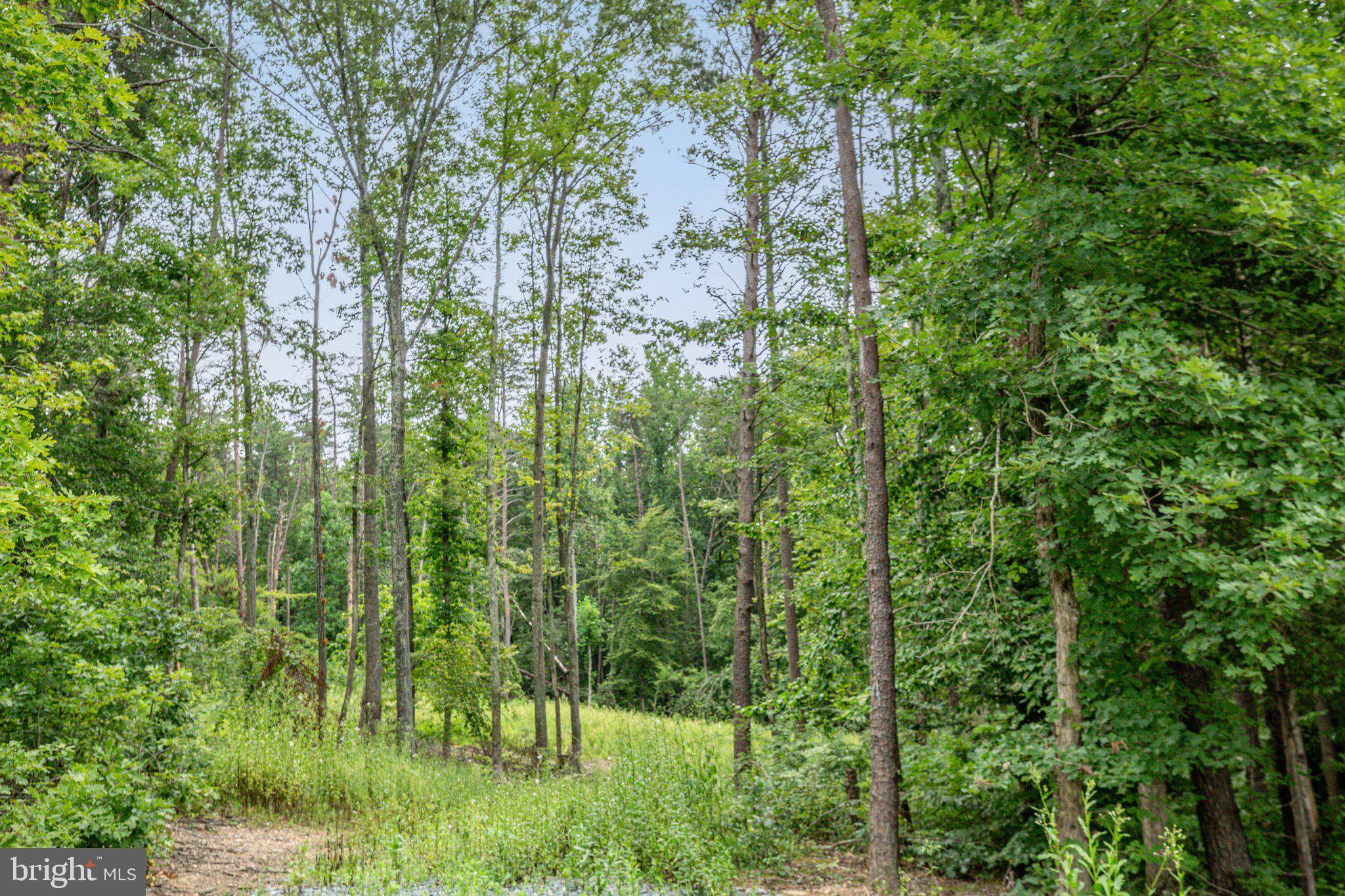 Bumpass, VA 23024,ELNOR RD #LOT 126