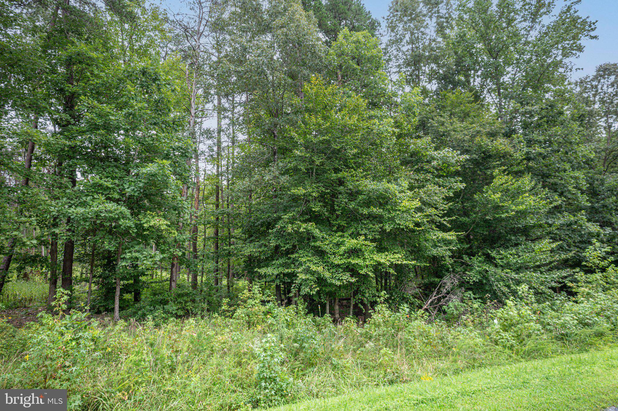 Bumpass, VA 23024,ELNOR RD #LOT 126