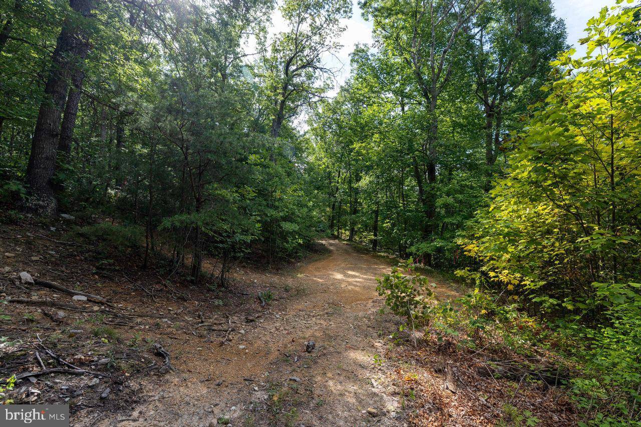 Luray, VA 22835,LOT 69 RIDGE RD