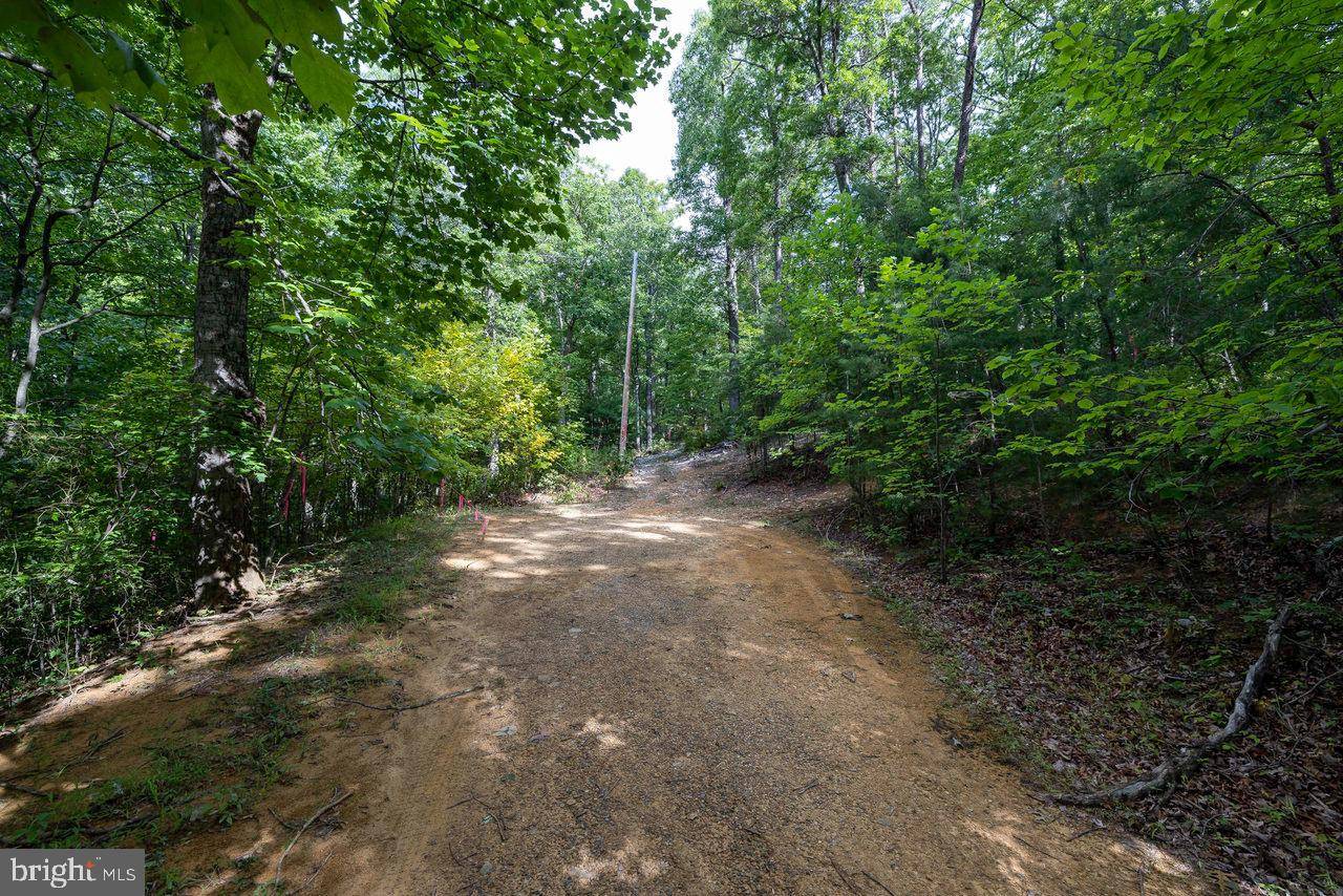 Luray, VA 22835,LOT 69 RIDGE RD