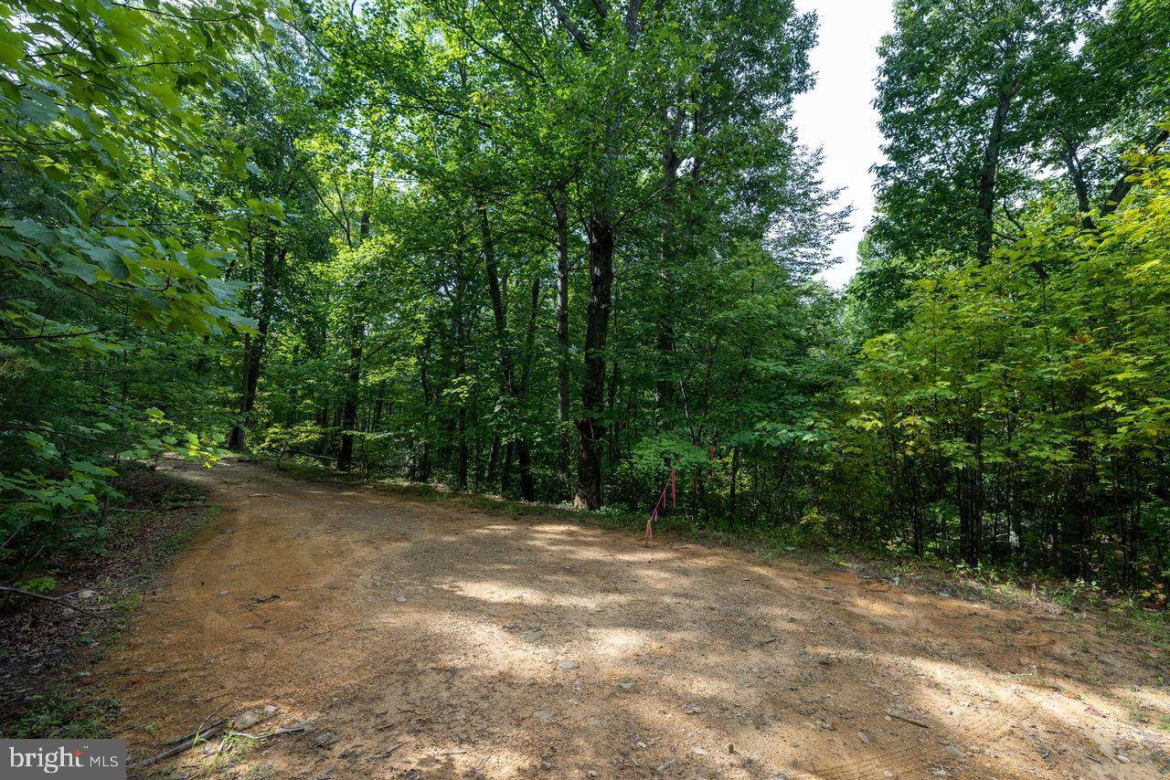 Luray, VA 22835,LOT 69 RIDGE RD