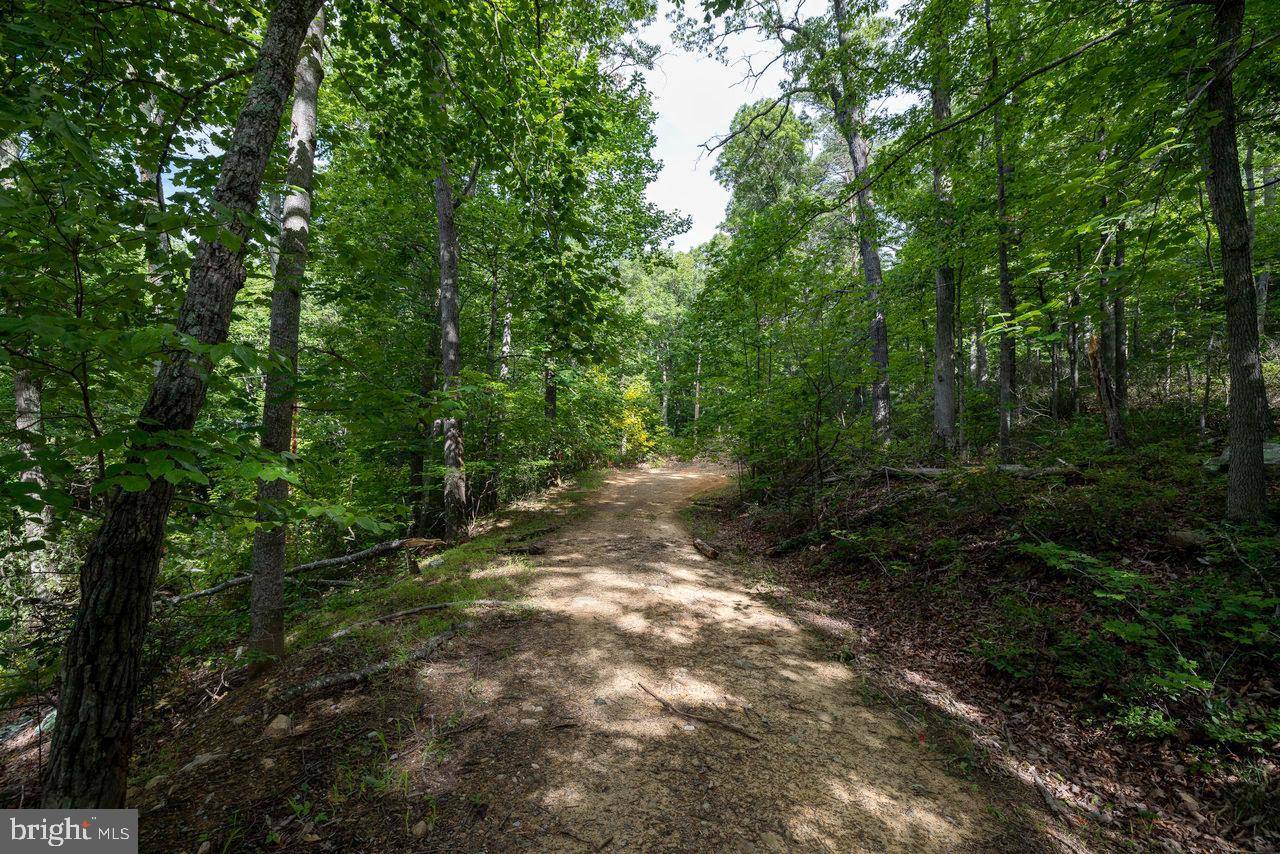 Luray, VA 22835,LOT 69 RIDGE RD