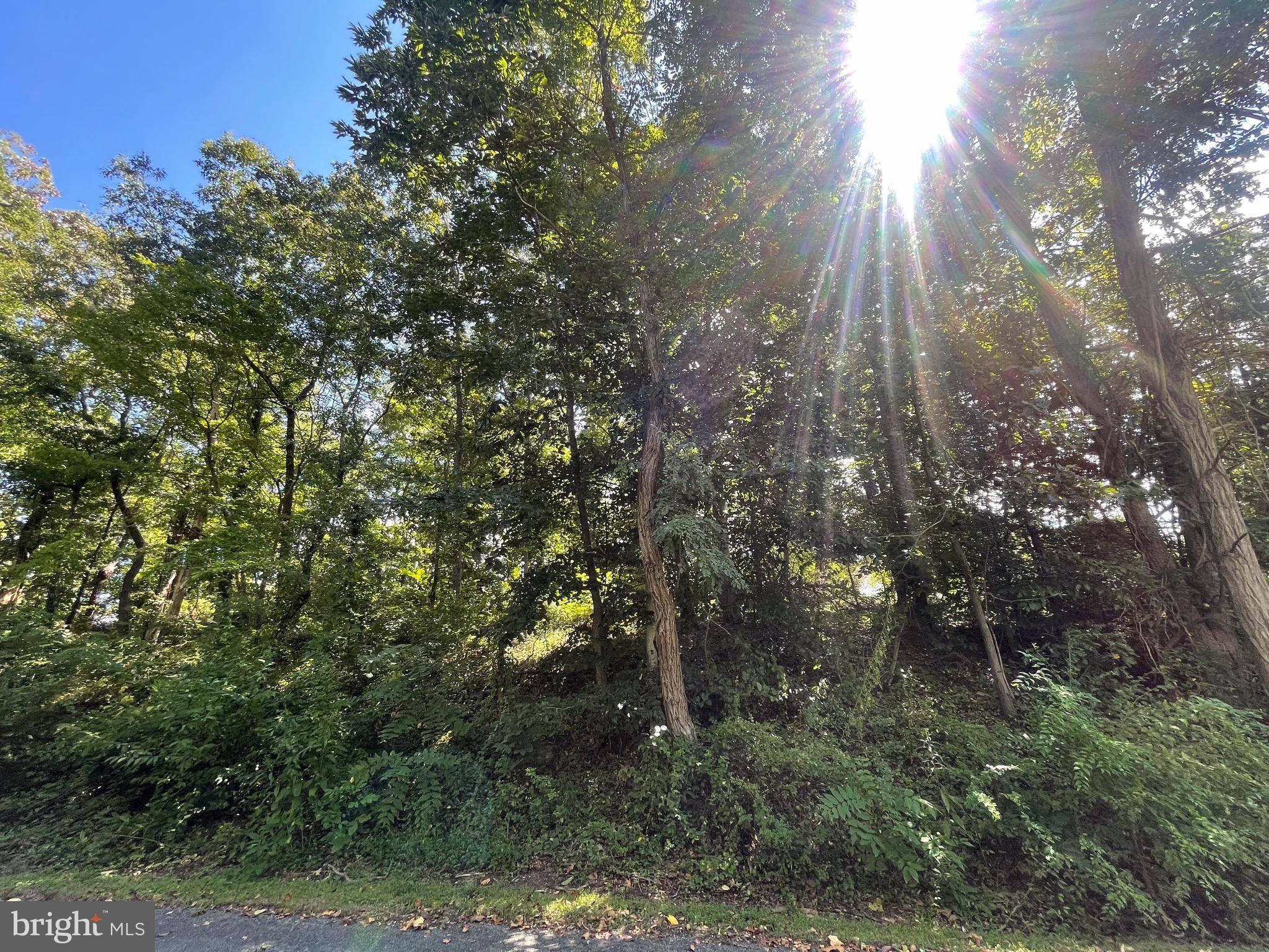 Louisa, VA 23093,LOT 56 LAKEVIEW CIR