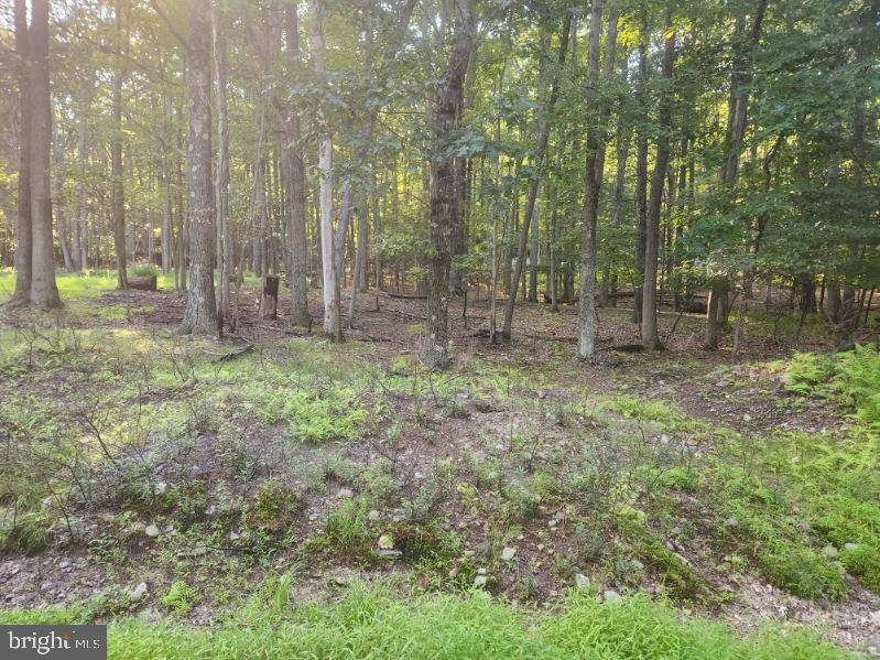 White Haven, PA 18661,LOT 004 VACATION DR