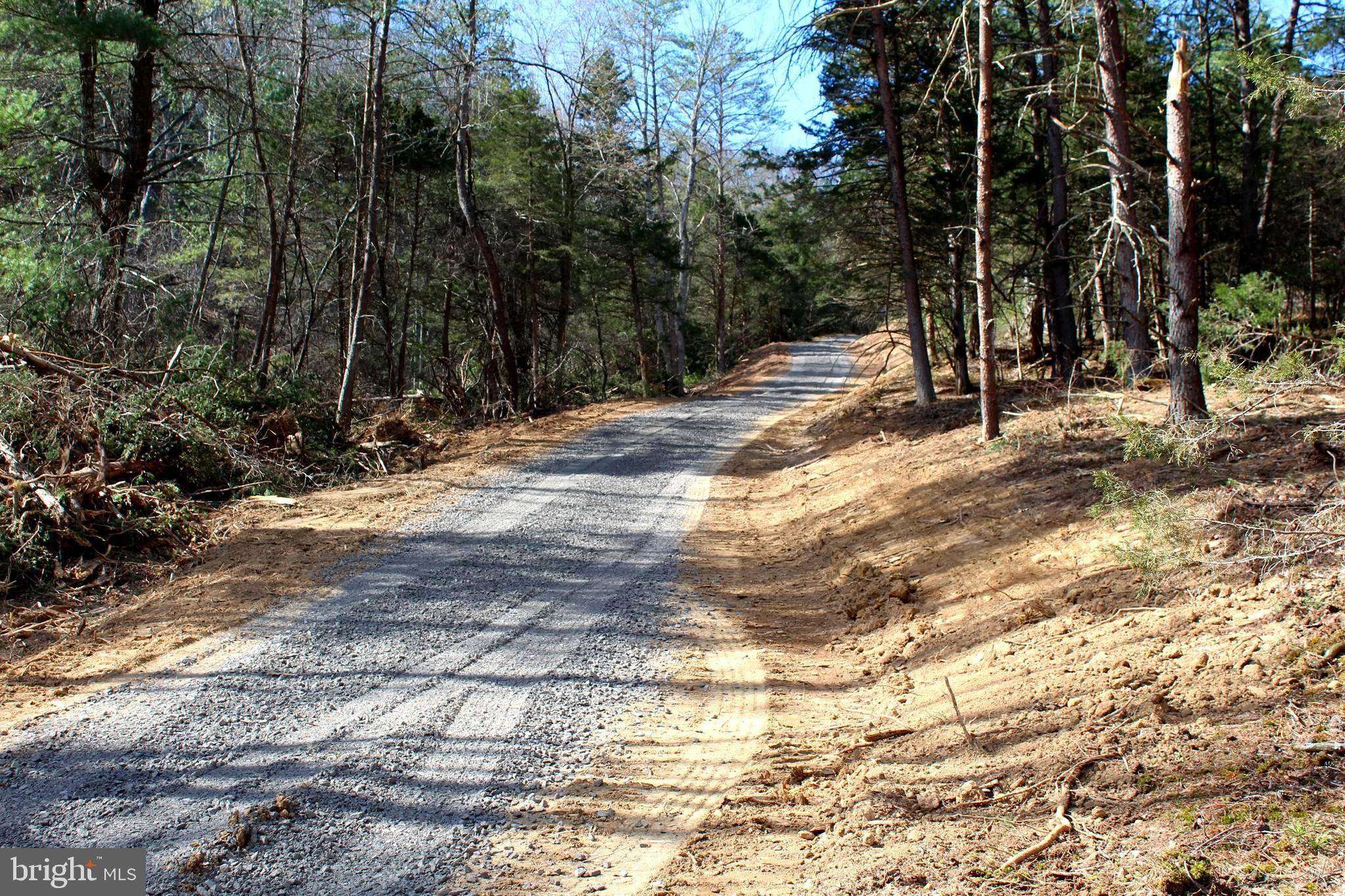 Upper Tract, WV 26866,6 AC TURKEY OAK LN