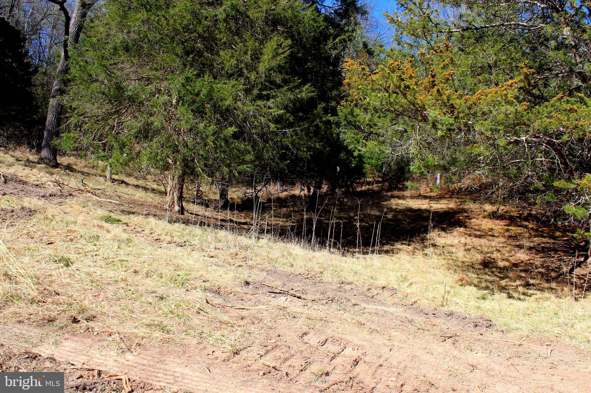 Upper Tract, WV 26866,6 AC TURKEY OAK LN