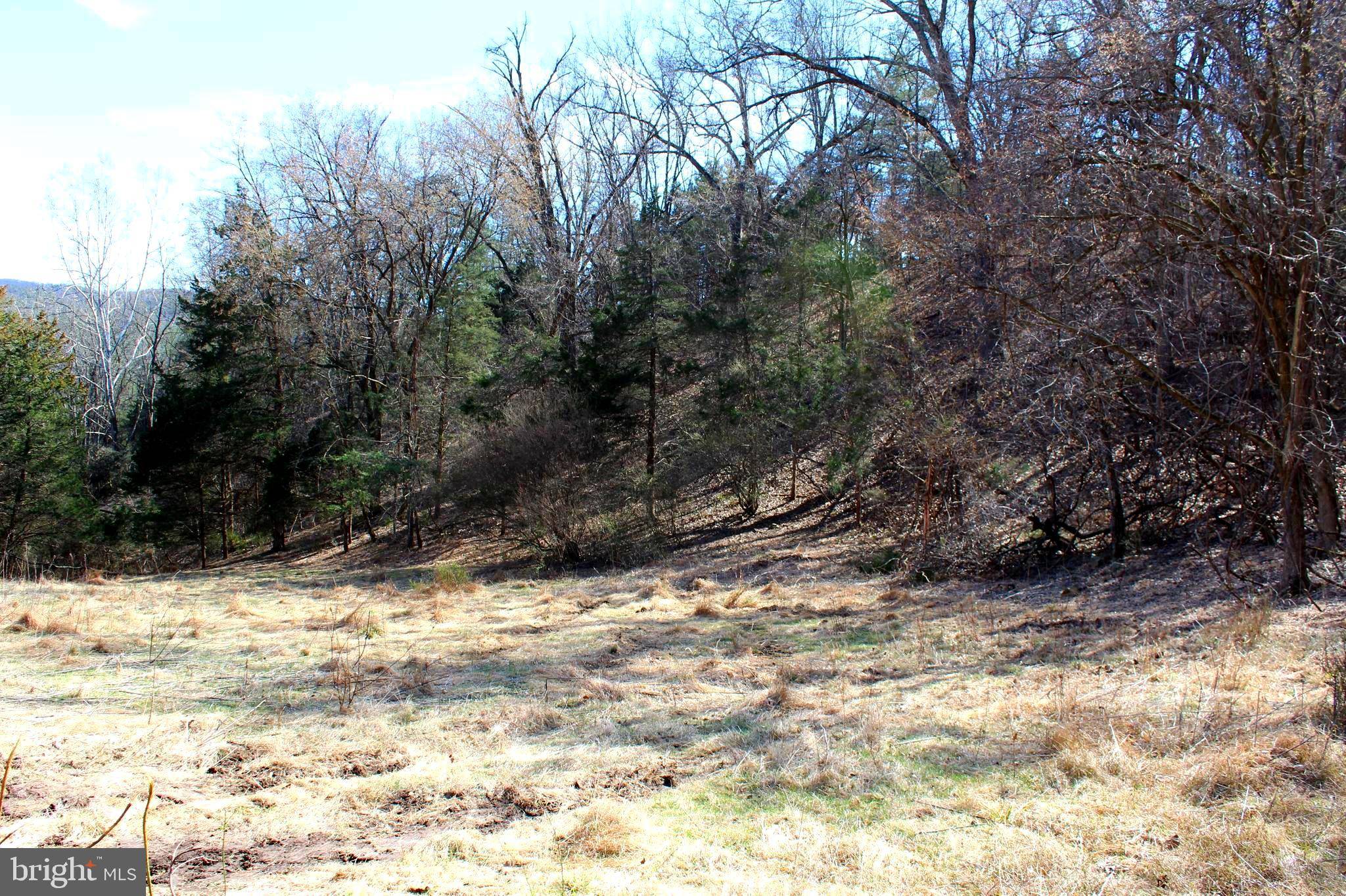 Upper Tract, WV 26866,6 AC TURKEY OAK LN