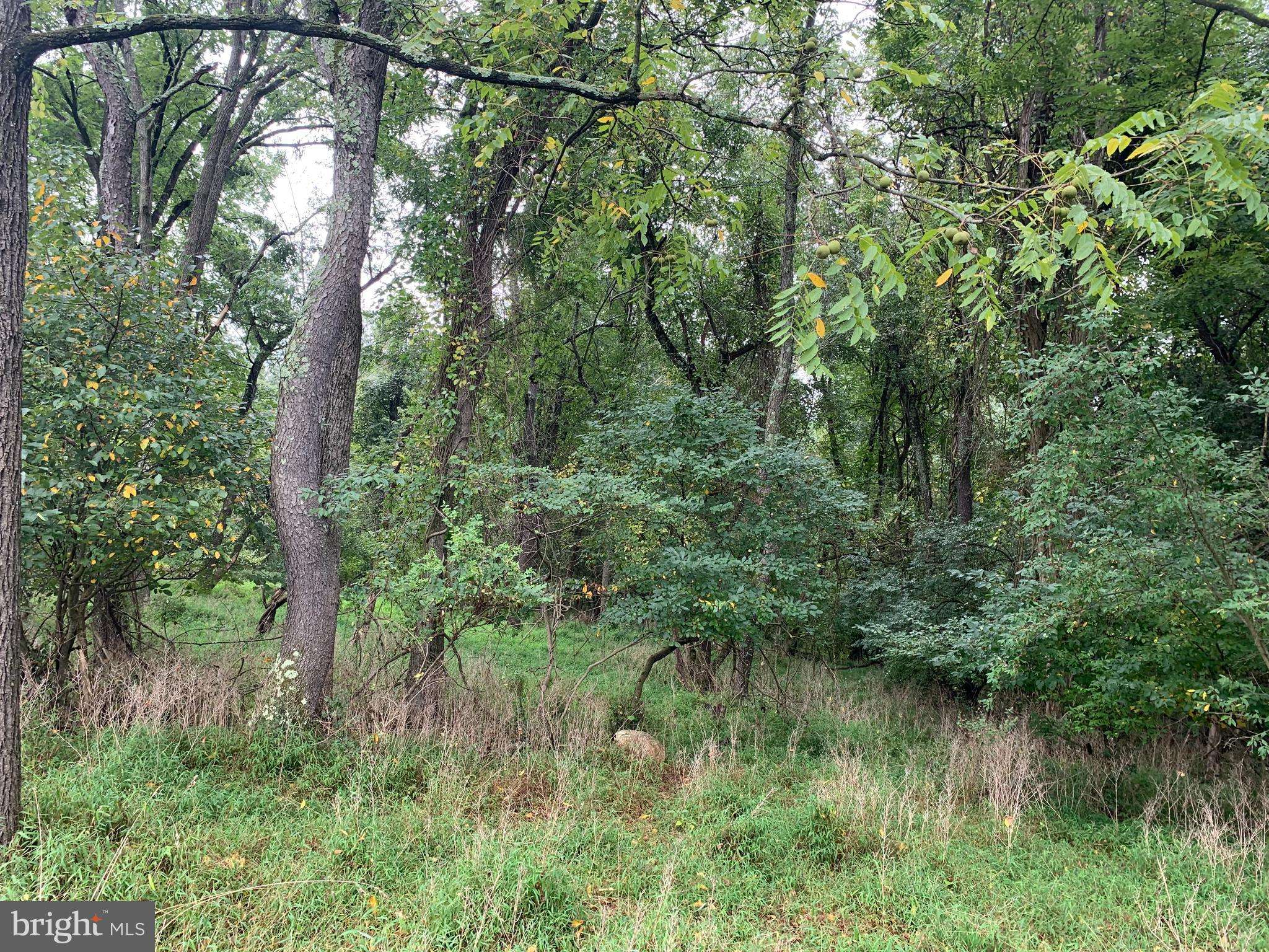 Sykesville, MD 21784,LOT 3 ARTHUR AVE