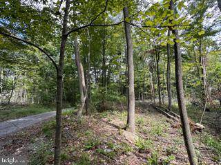 Springfield, WV 26763,MOUNTAIN AIR SUBDIVISION - LOT 15