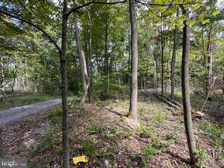 Springfield, WV 26763,MOUNTAIN AIR SUBDIVISION - LOT 15