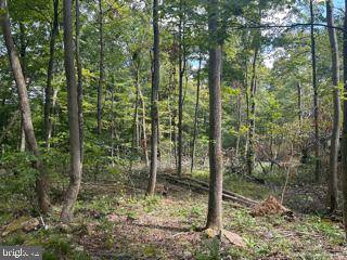 Springfield, WV 26763,MOUNTAIN AIR SUBDIVISION - LOT 15