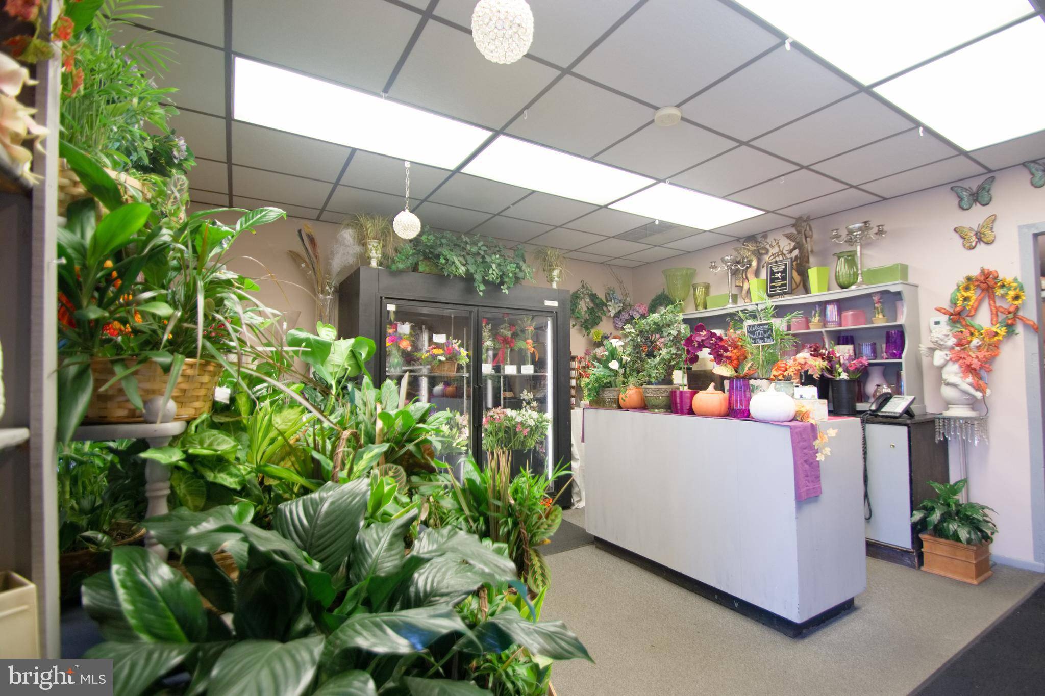 Glenolden, PA 19036,1050 W ASHLAND AVE