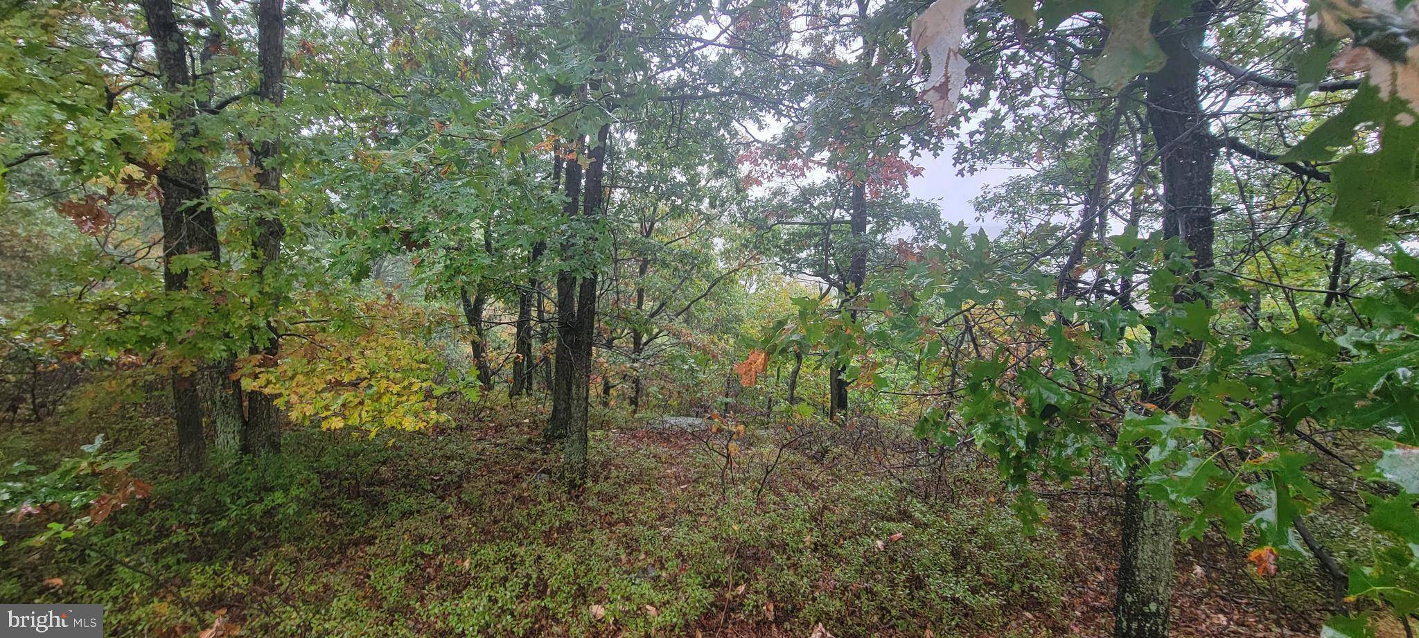 Hazle Township, PA 18202,TH LOT 121 BUTTONBUSH