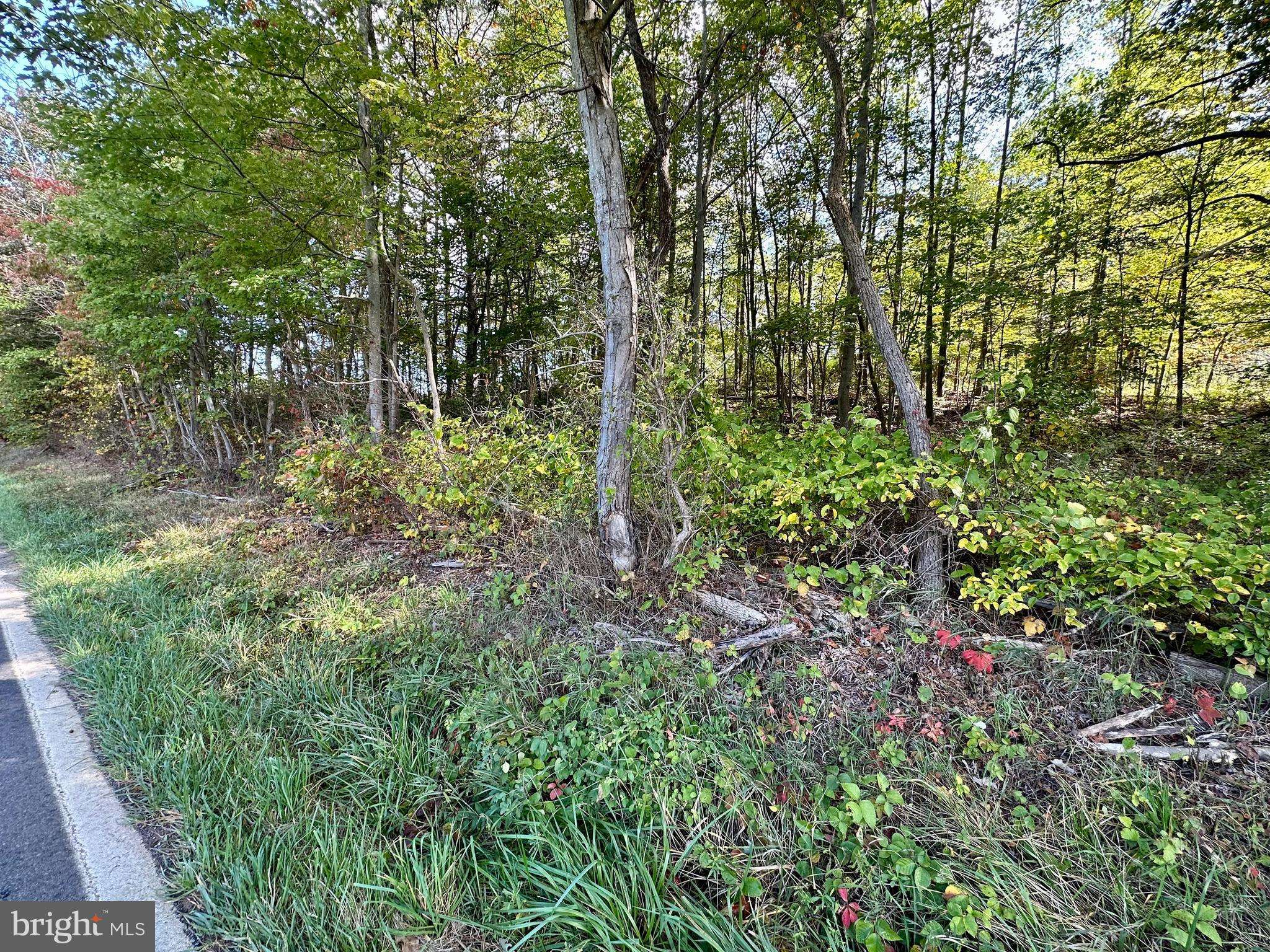 Augusta, WV 26704,LOT 18 SHORT MOUNTAIN VILLAGE DR