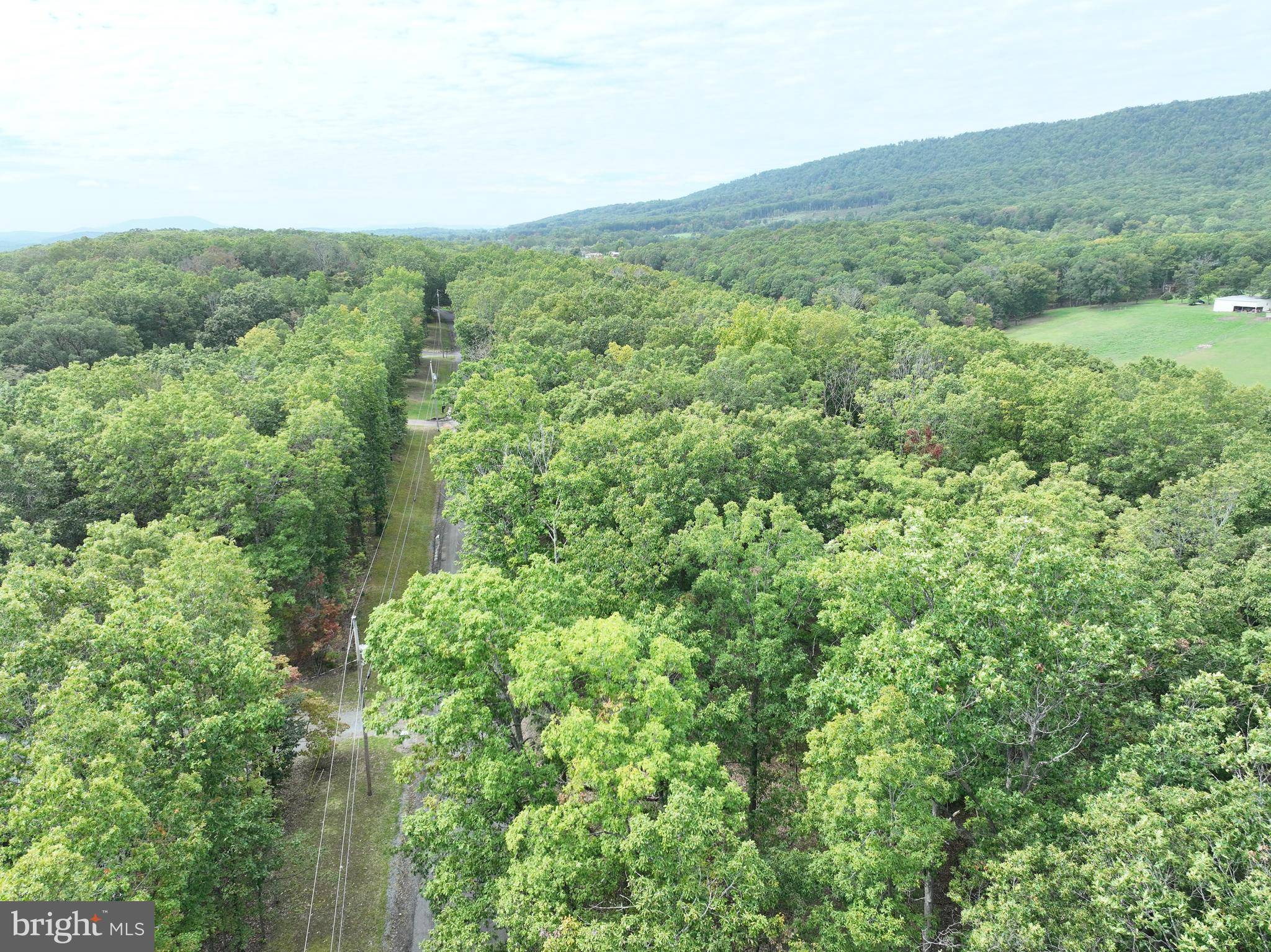 Paw Paw, WV 25434,10.66 ACRES FRANK HAINES RD