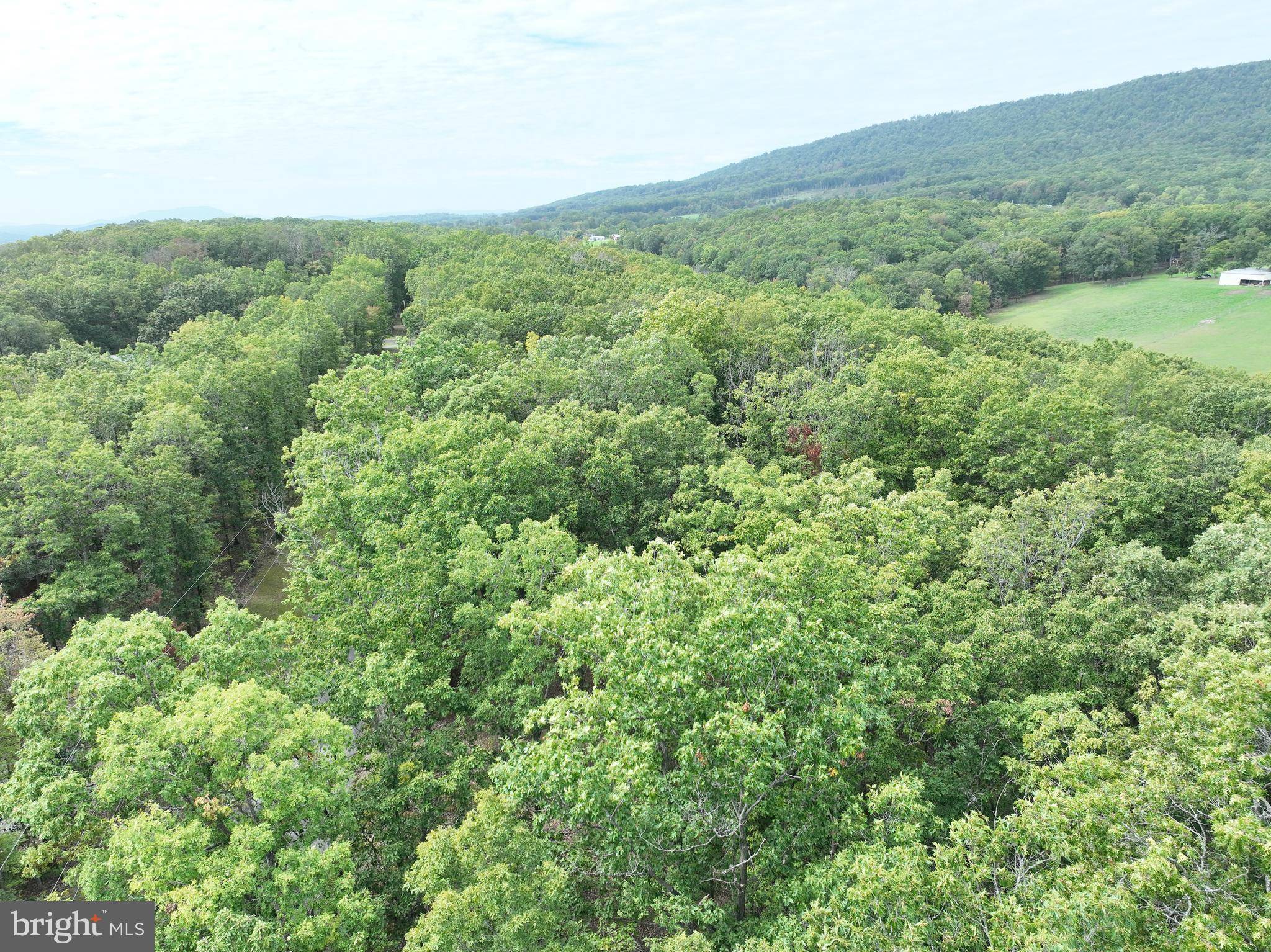 Paw Paw, WV 25434,10.66 ACRES FRANK HAINES RD