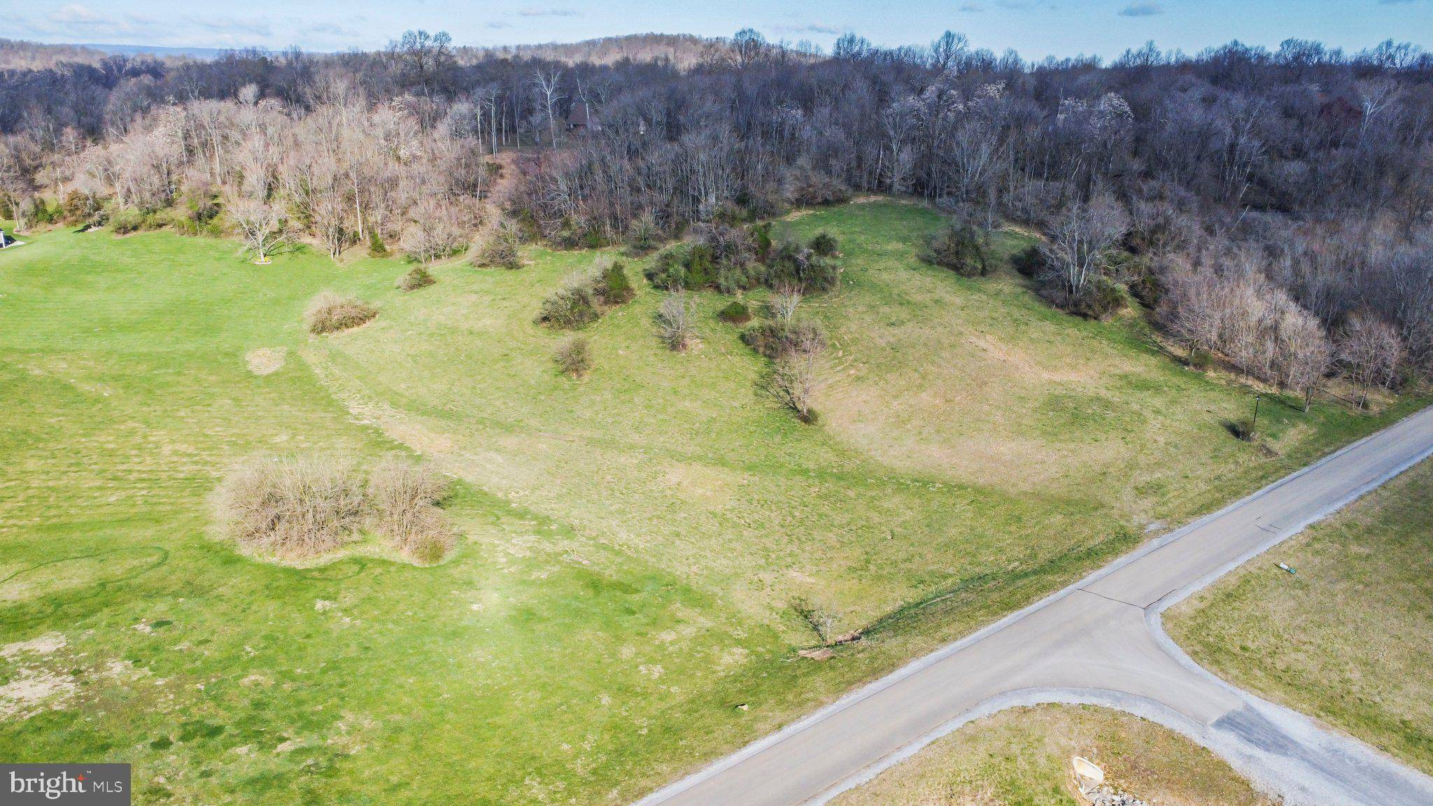 Hedgesville, WV 25427,LOT 98 AMERICANA LN