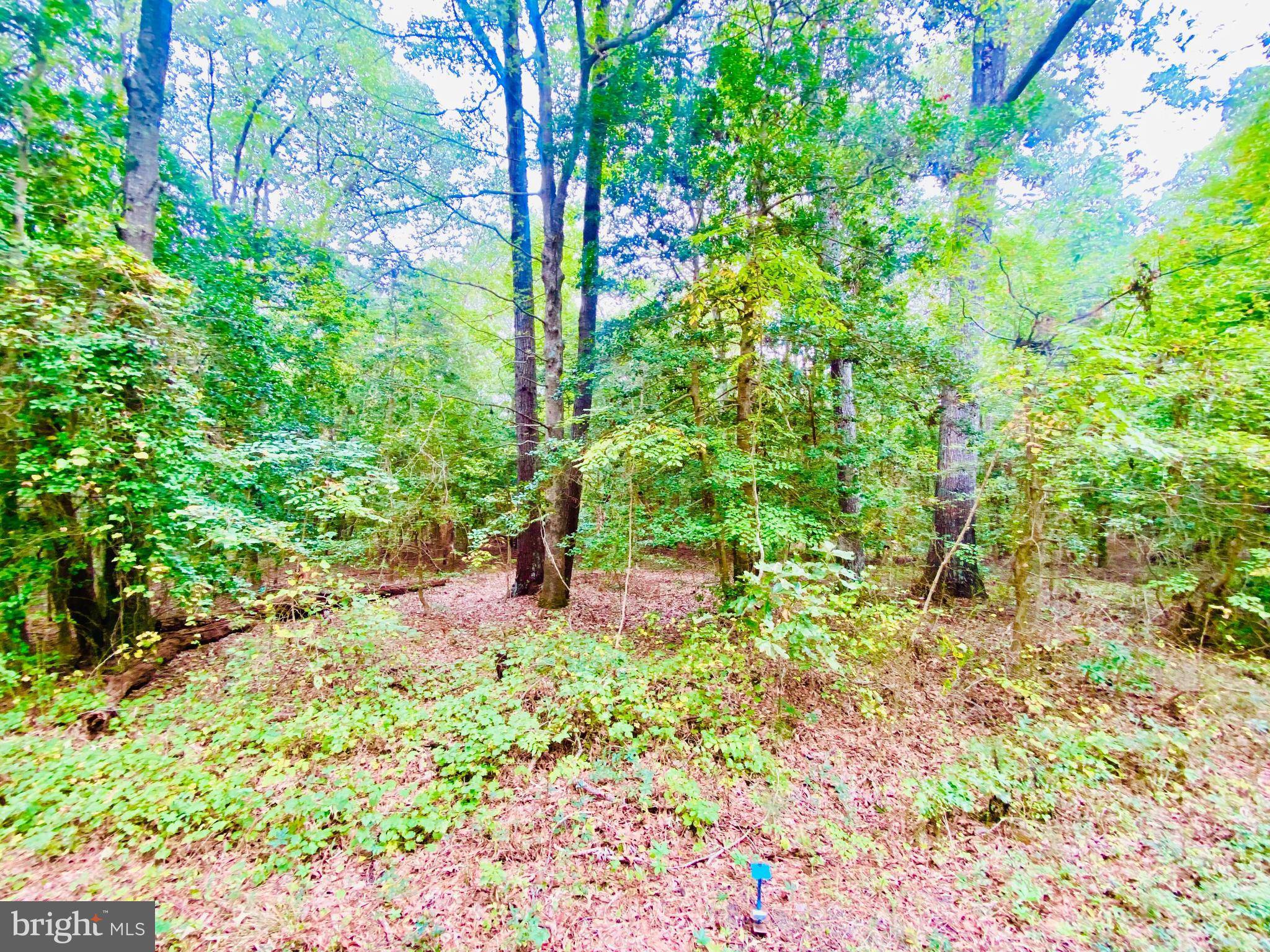 Lancaster, VA 22503,LOT 63 SENORA RD