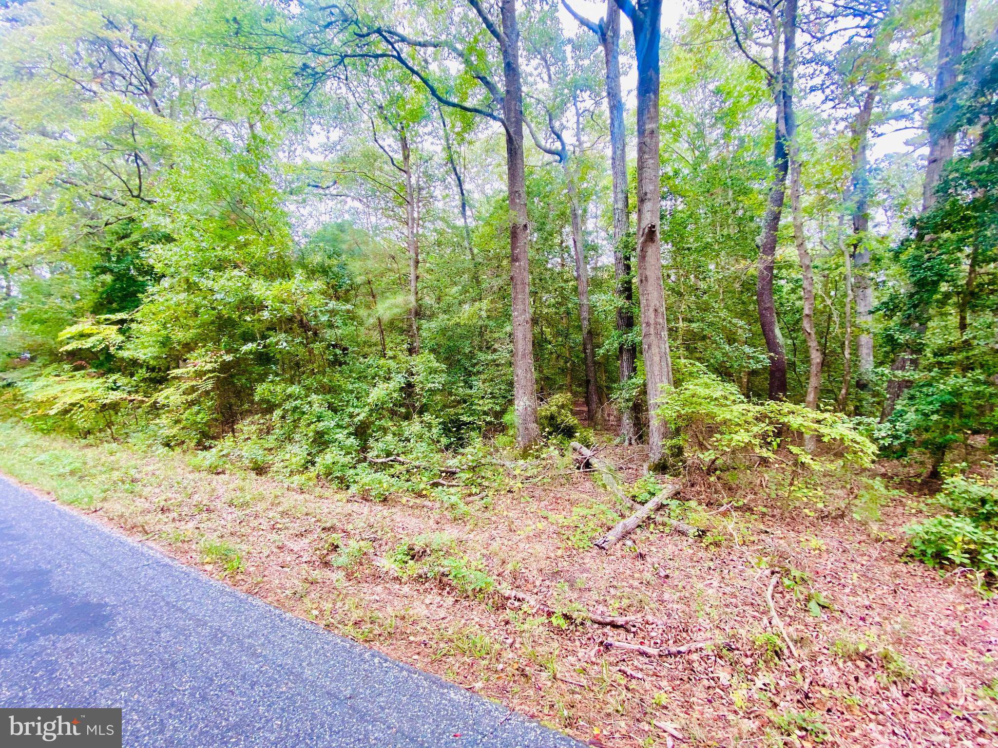 Lancaster, VA 22503,LOT 63 SENORA RD