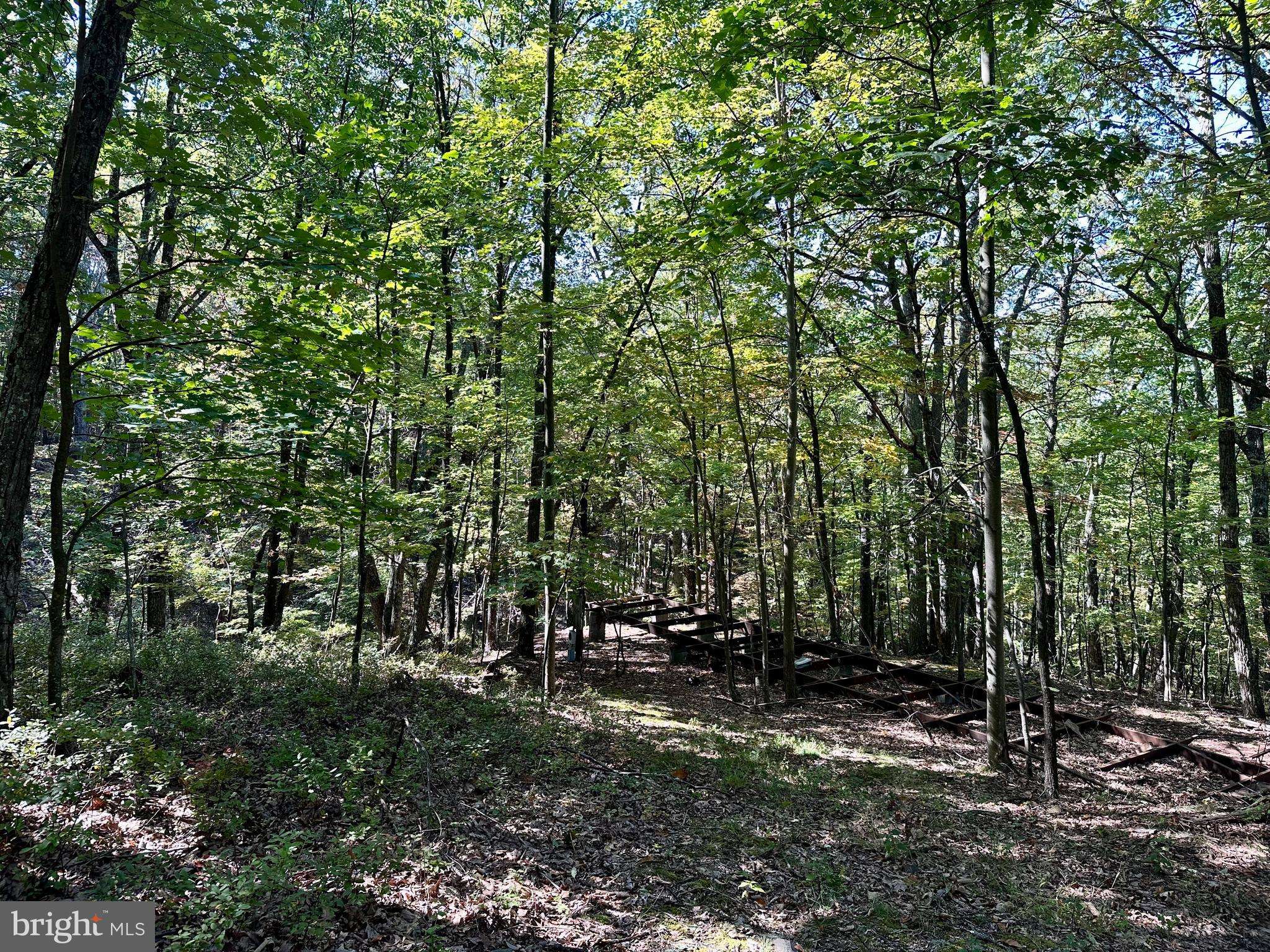 Slanesville, WV 25444,LOT 21 SEC 6 BUTTERFLY LN