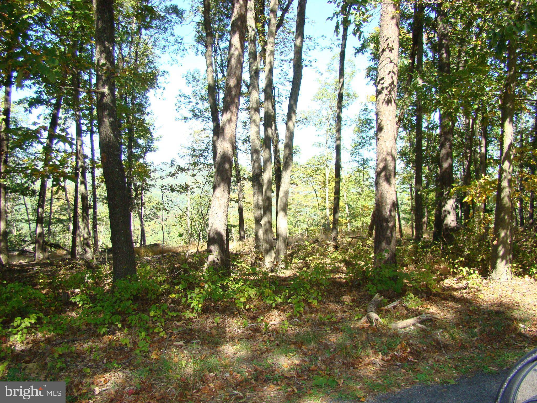 Mount Jackson, VA 22842,SUPINLICK RIDGE