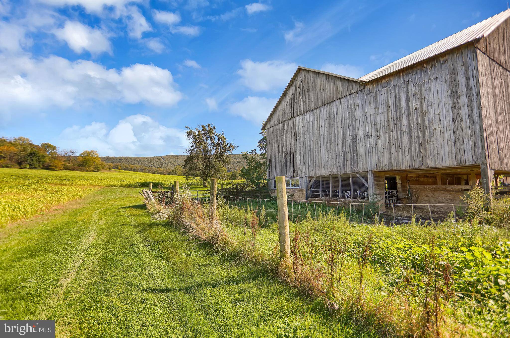 Williamsburg, PA 16693,00-LOT #2 CLOVER CREEK ROAD