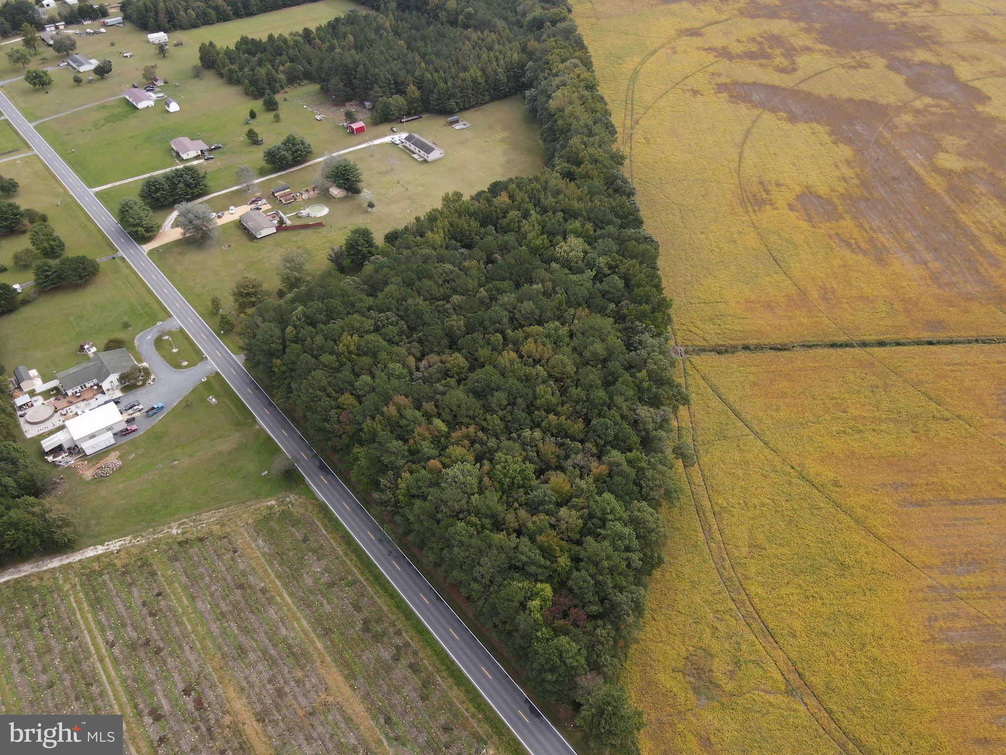 Laurel, DE 19956,14590 SHILOH CHURCH RD