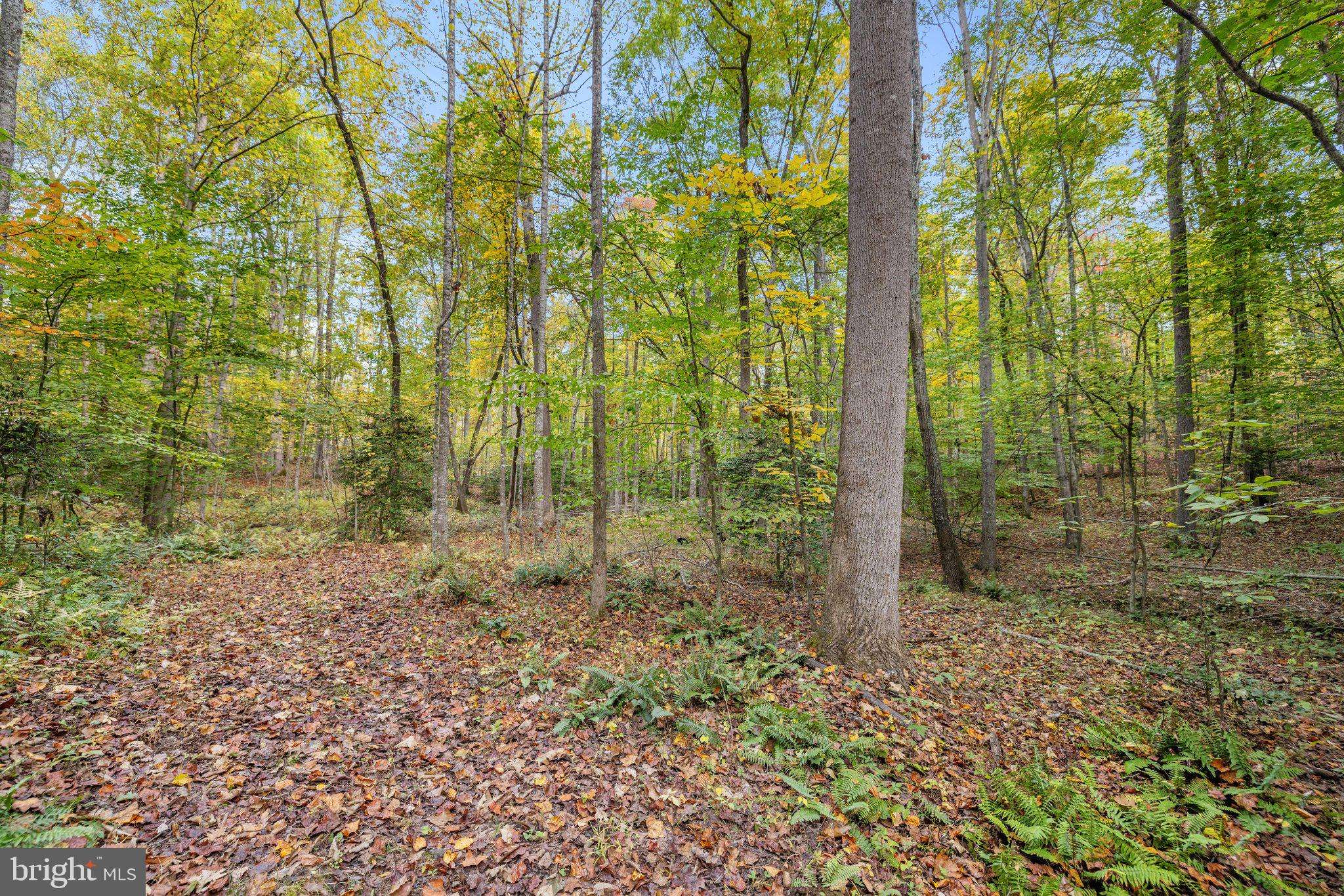 Jeffersonton, VA 22724,0 DREAMLAND RD #B